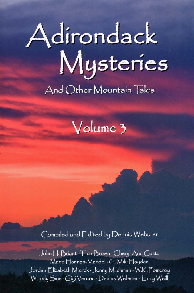 Cover image for Adirondack Mysteries