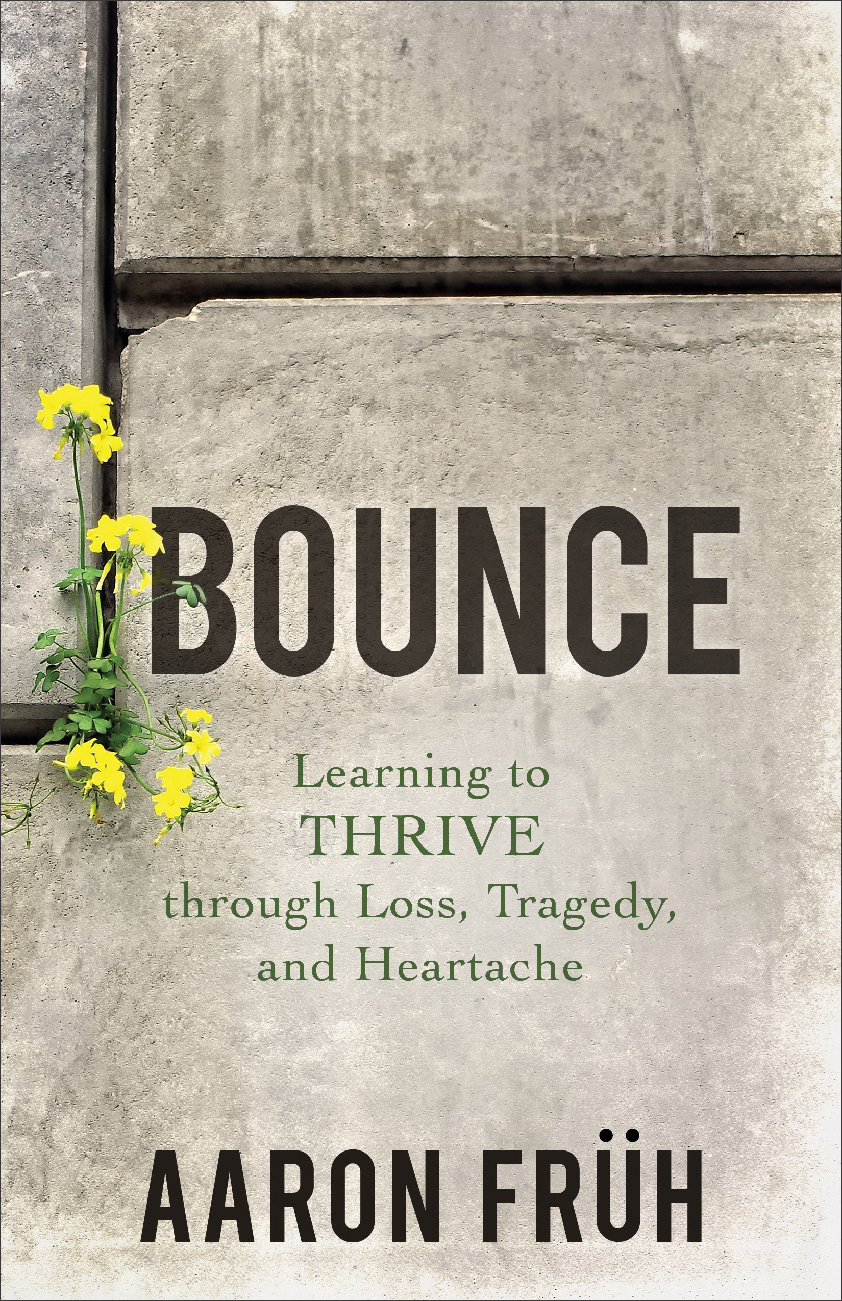 Cover image for Bounce