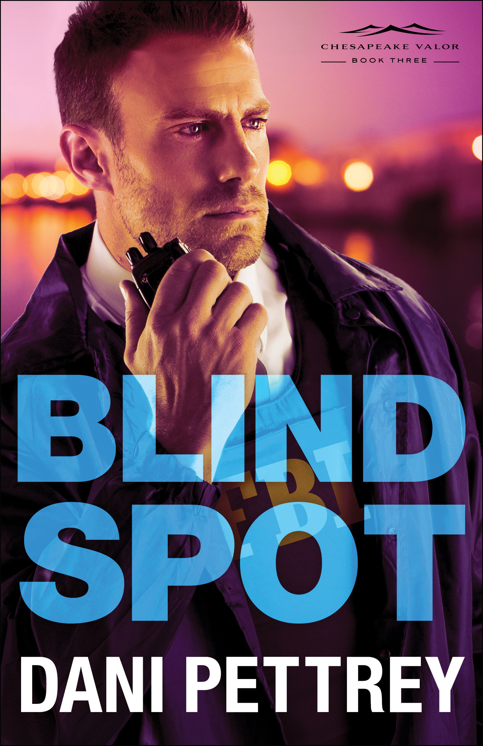 Cover image for Blind Spot (Chesapeake Valor Book #3)