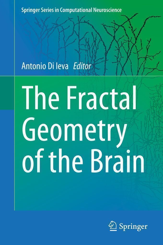 Cover image for The Fractal Geometry of the Brain