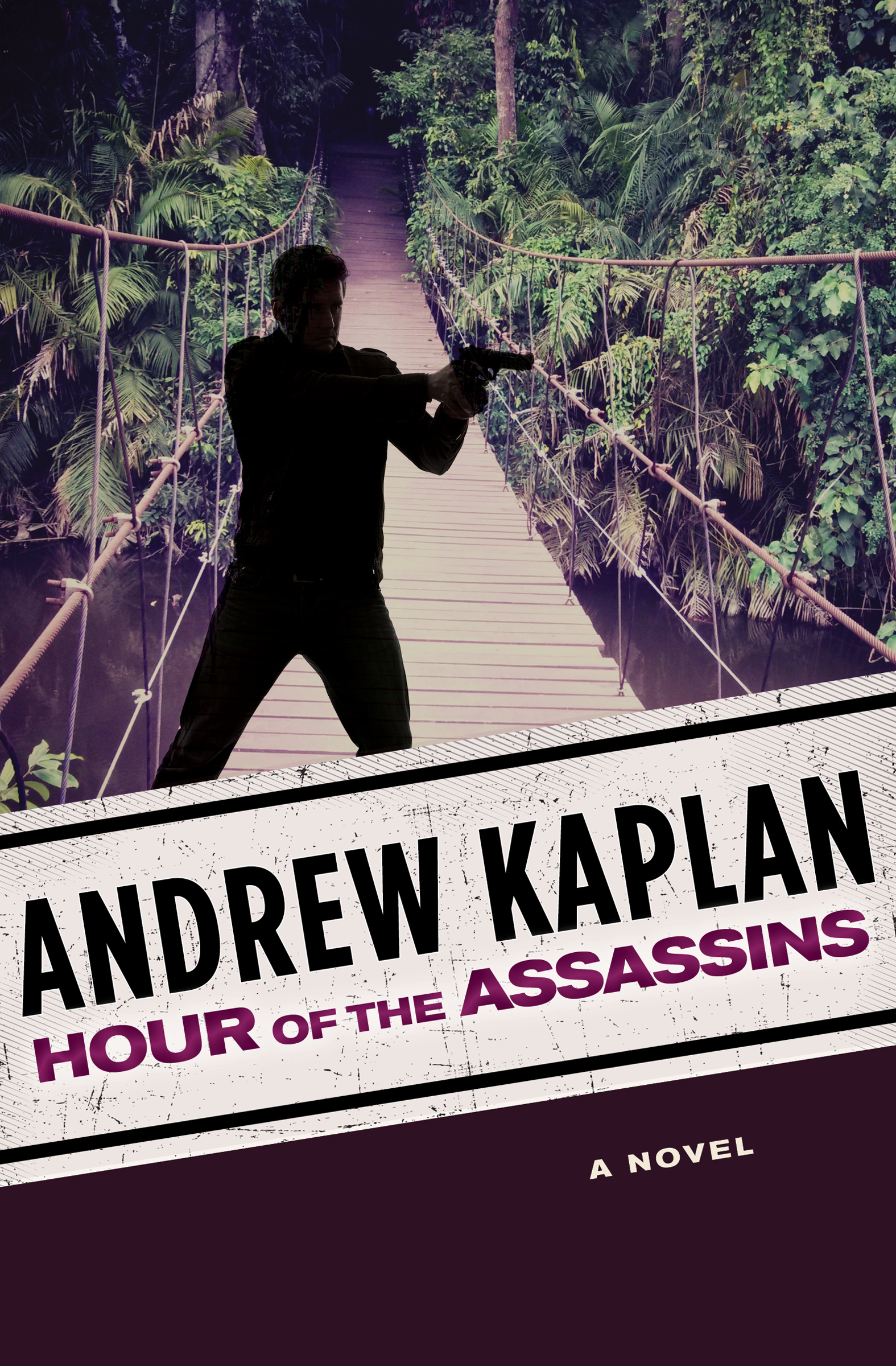 Cover image for Hour of the Assassins