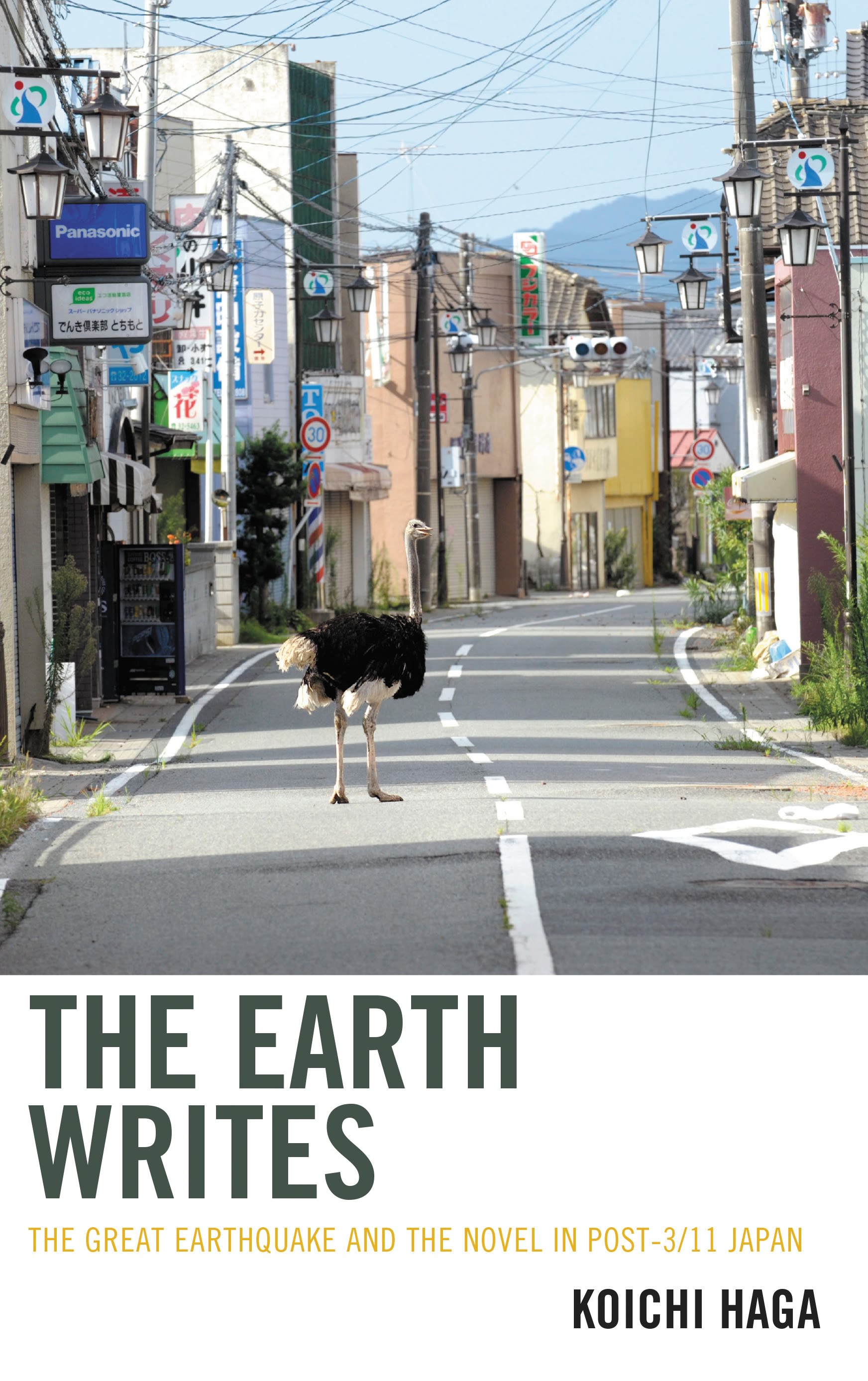 Cover image for The Earth Writes