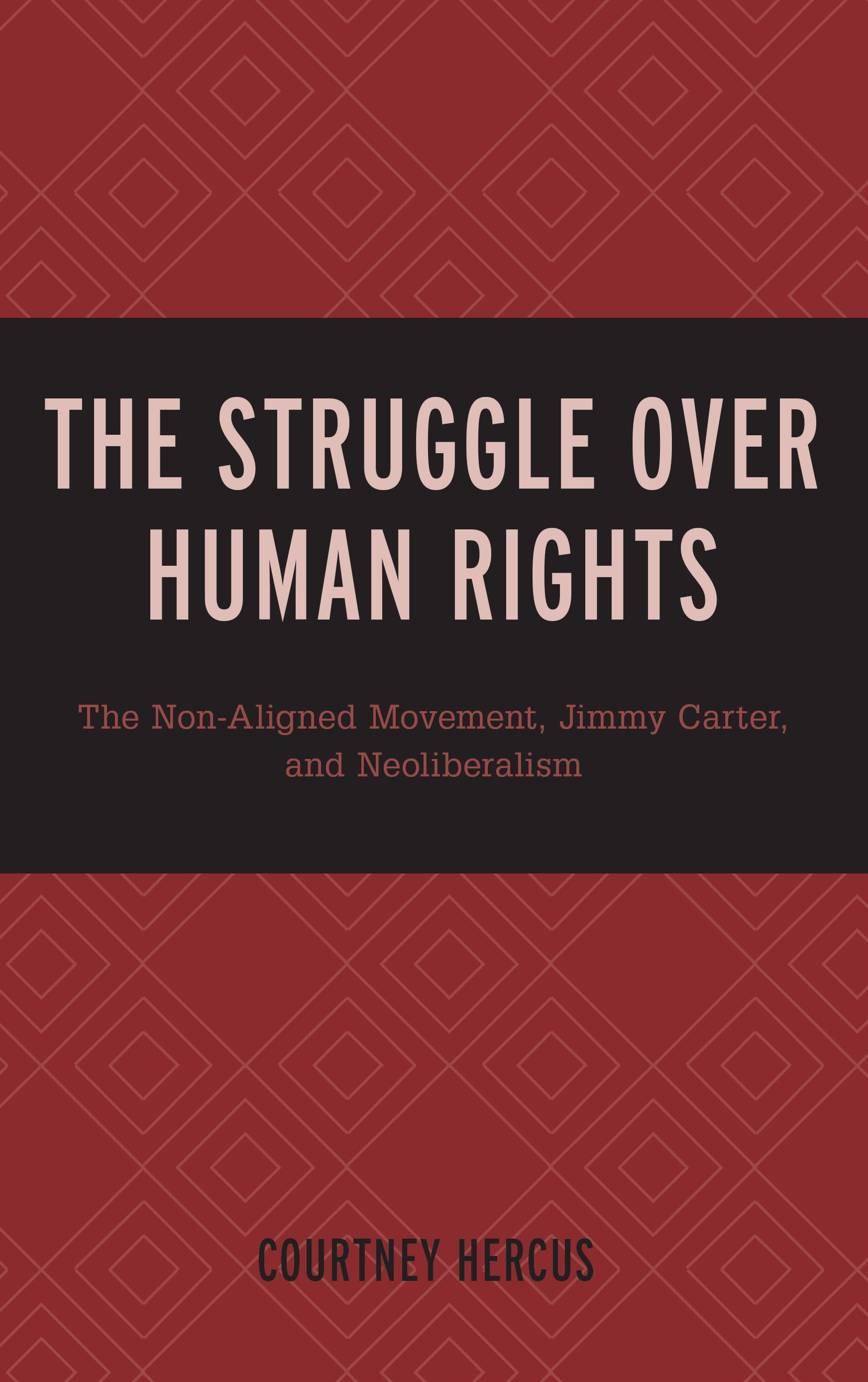Cover image for The Struggle over Human Rights