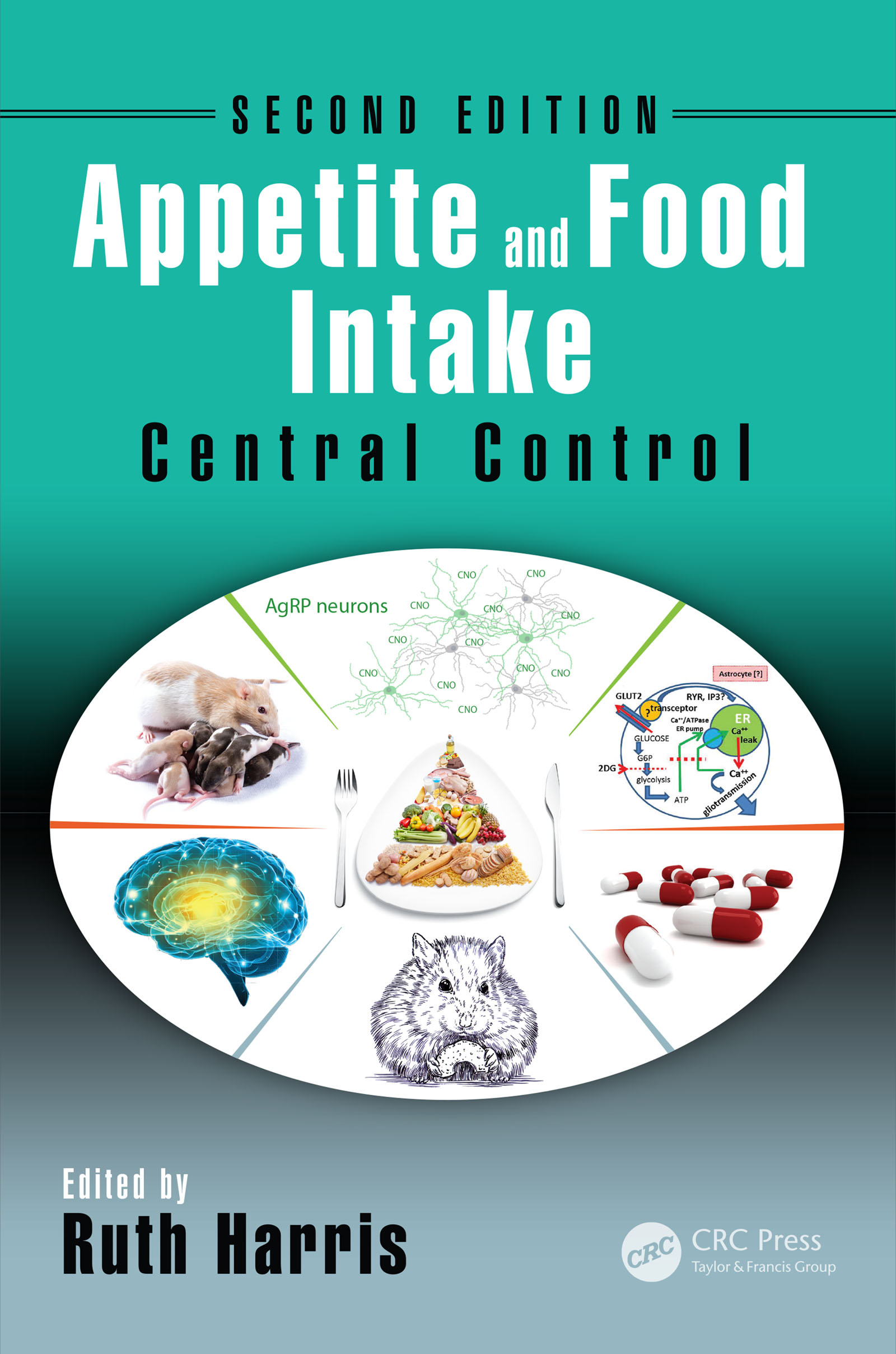 ISBN 9781498723176 product image for Appetite and Food Intake | upcitemdb.com