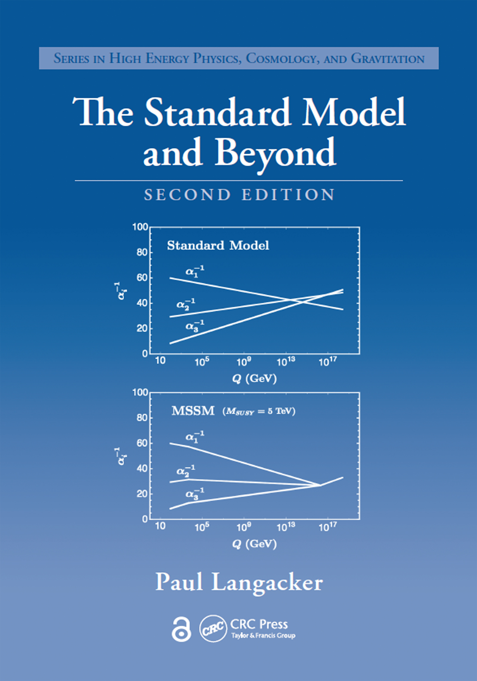 Cover image for The Standard Model and Beyond