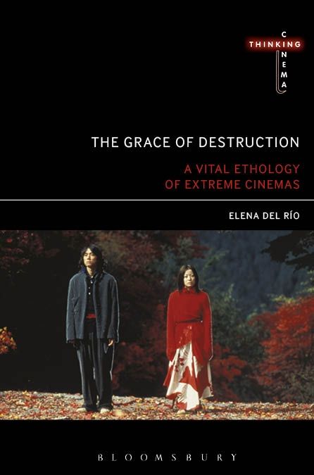 Cover image for The Grace of Destruction