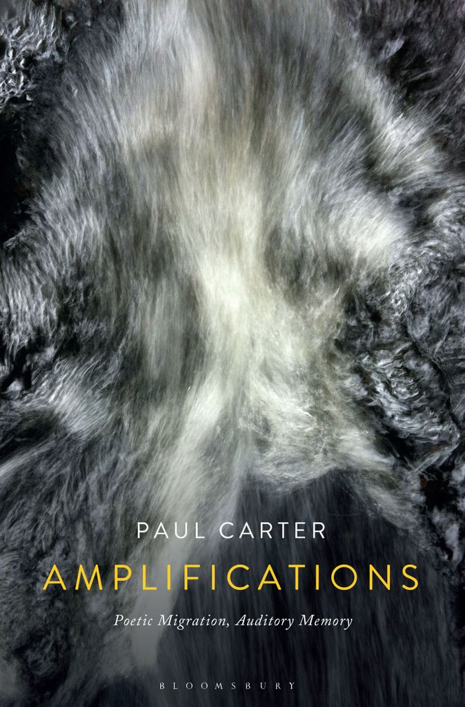 Cover image for Amplifications