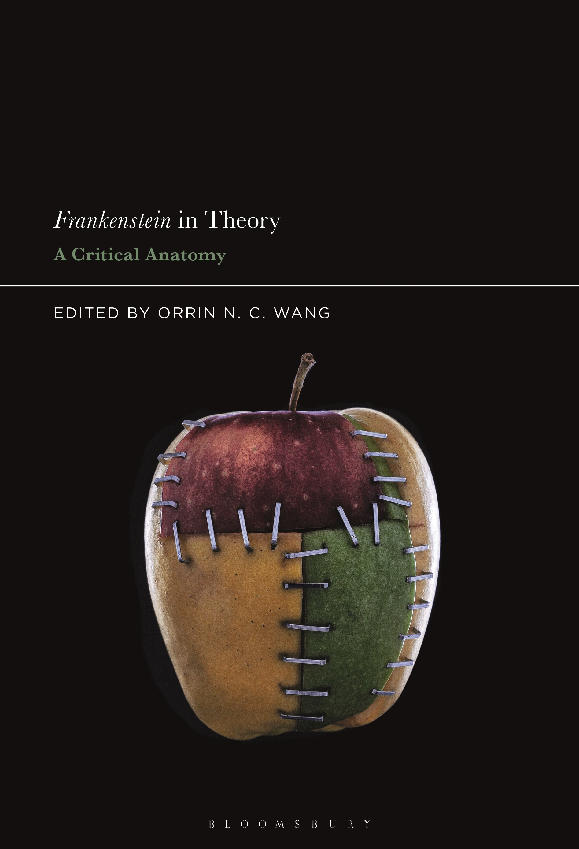 Cover image for Frankenstein in Theory