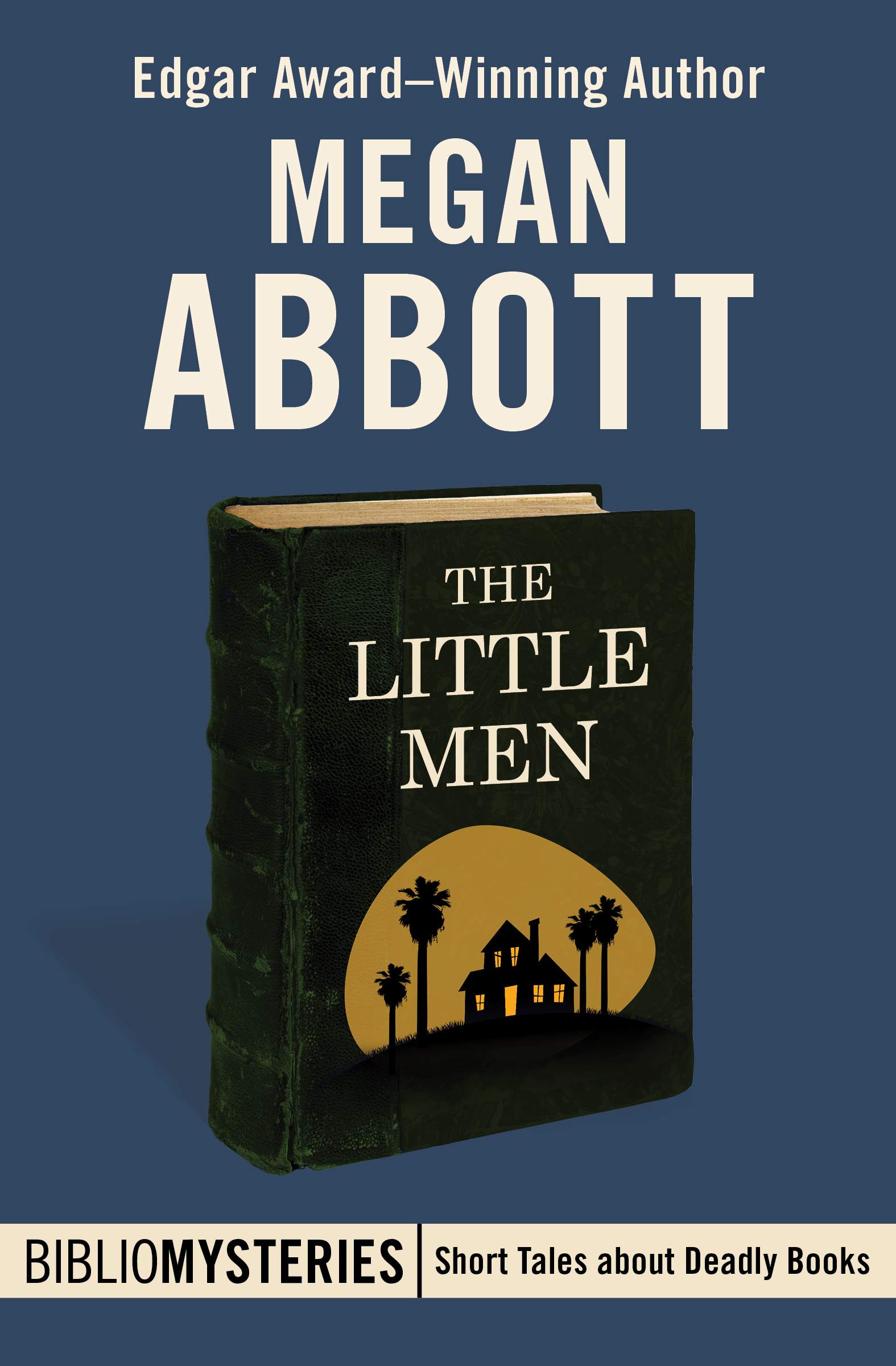 Cover image for The Little Men