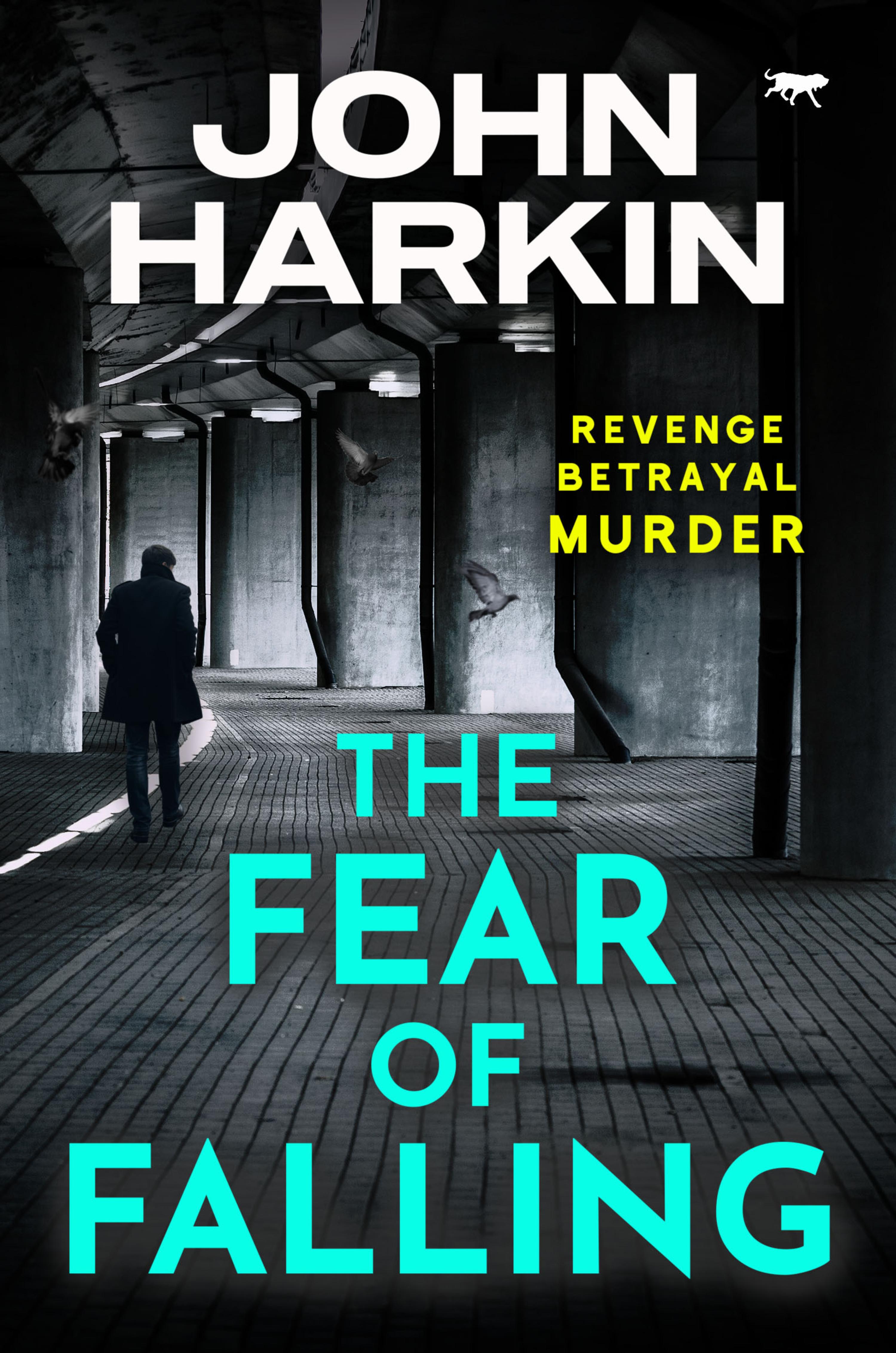 Cover image for The Fear of Falling