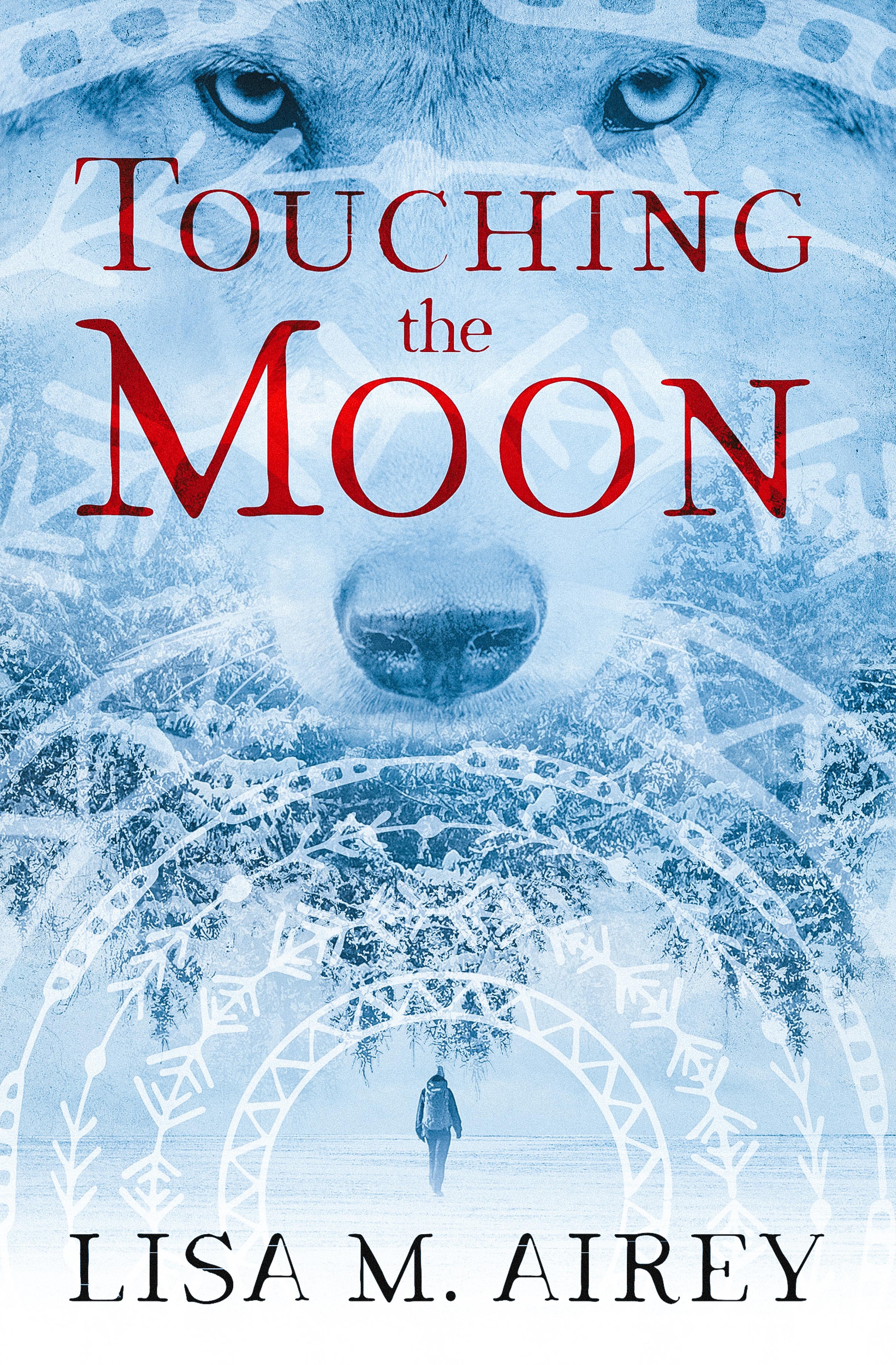 Cover image for Touching the Moon