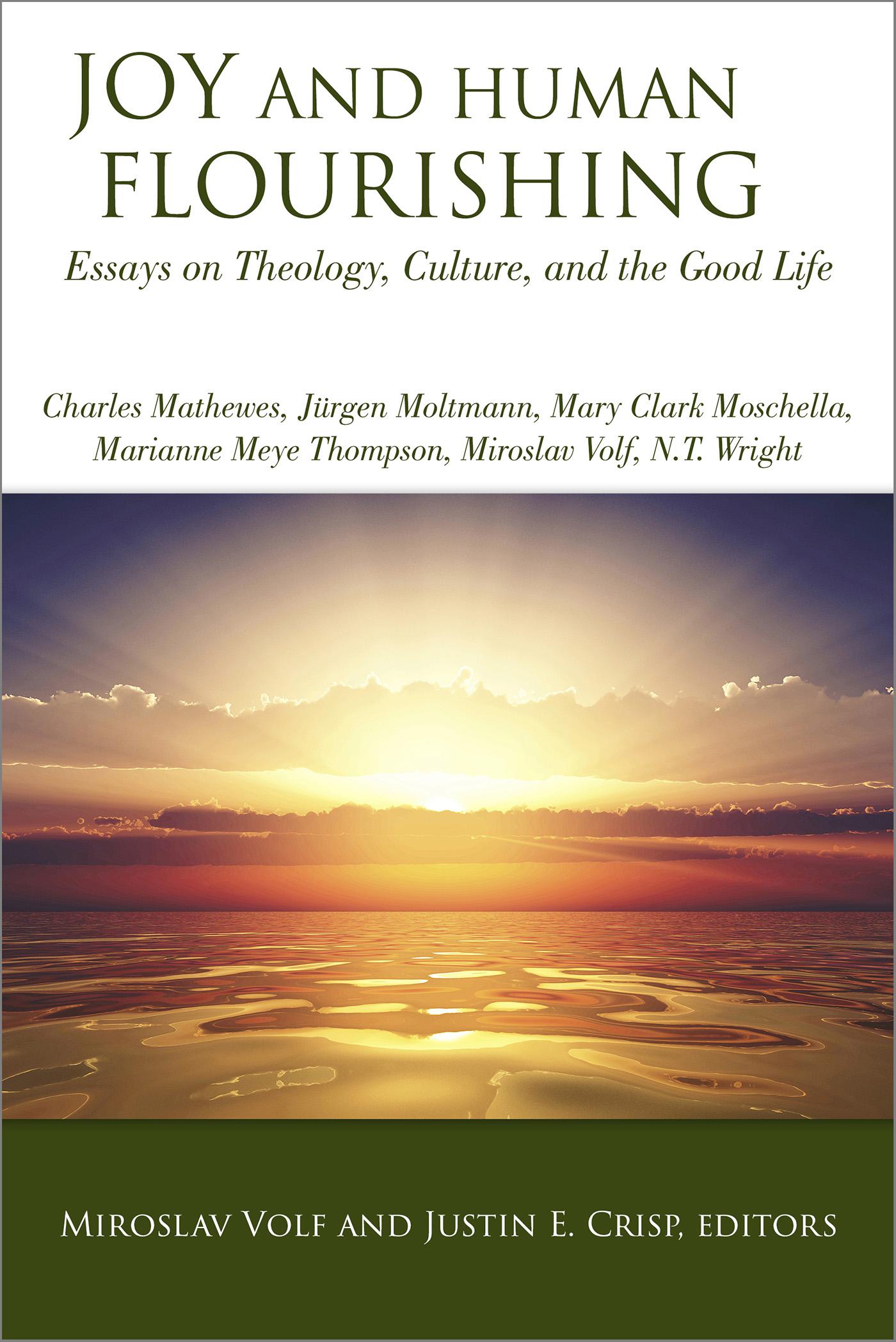 Cover image for Joy and Human Flourishing