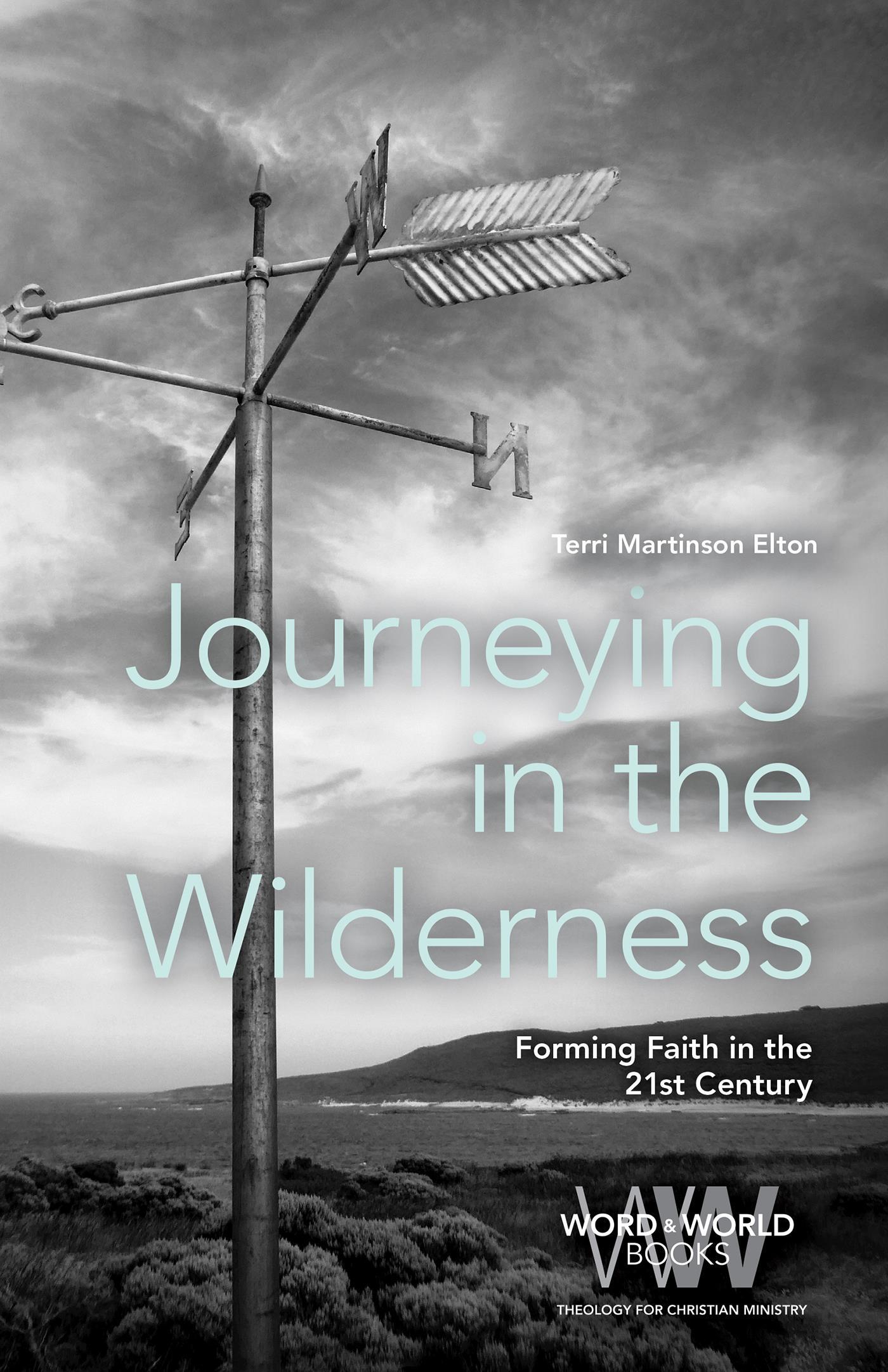 Cover image for Journeying in the Wilderness