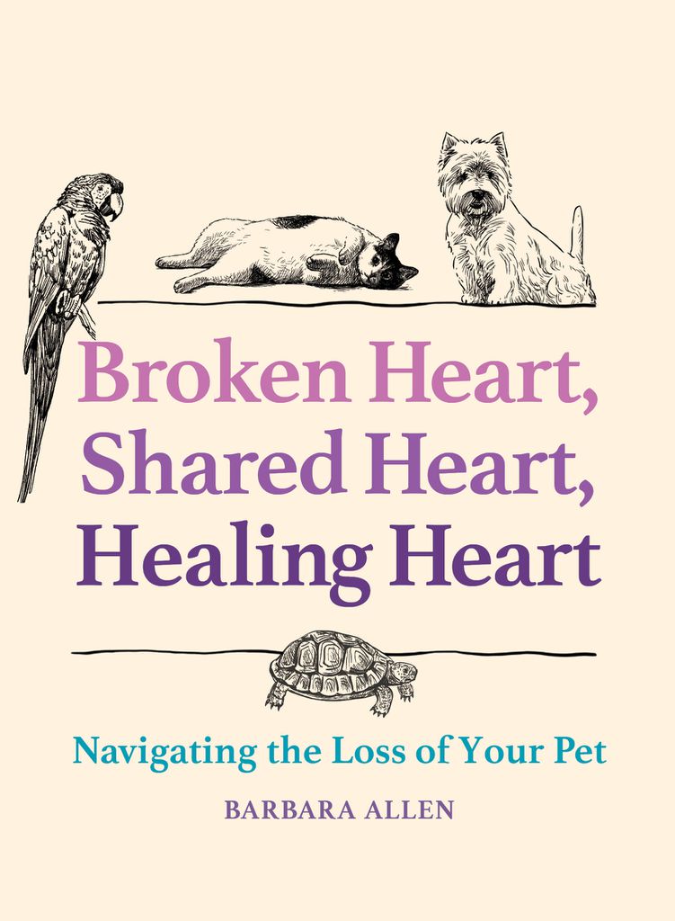 Cover image for Broken Heart, Shared Heart, Healing Heart