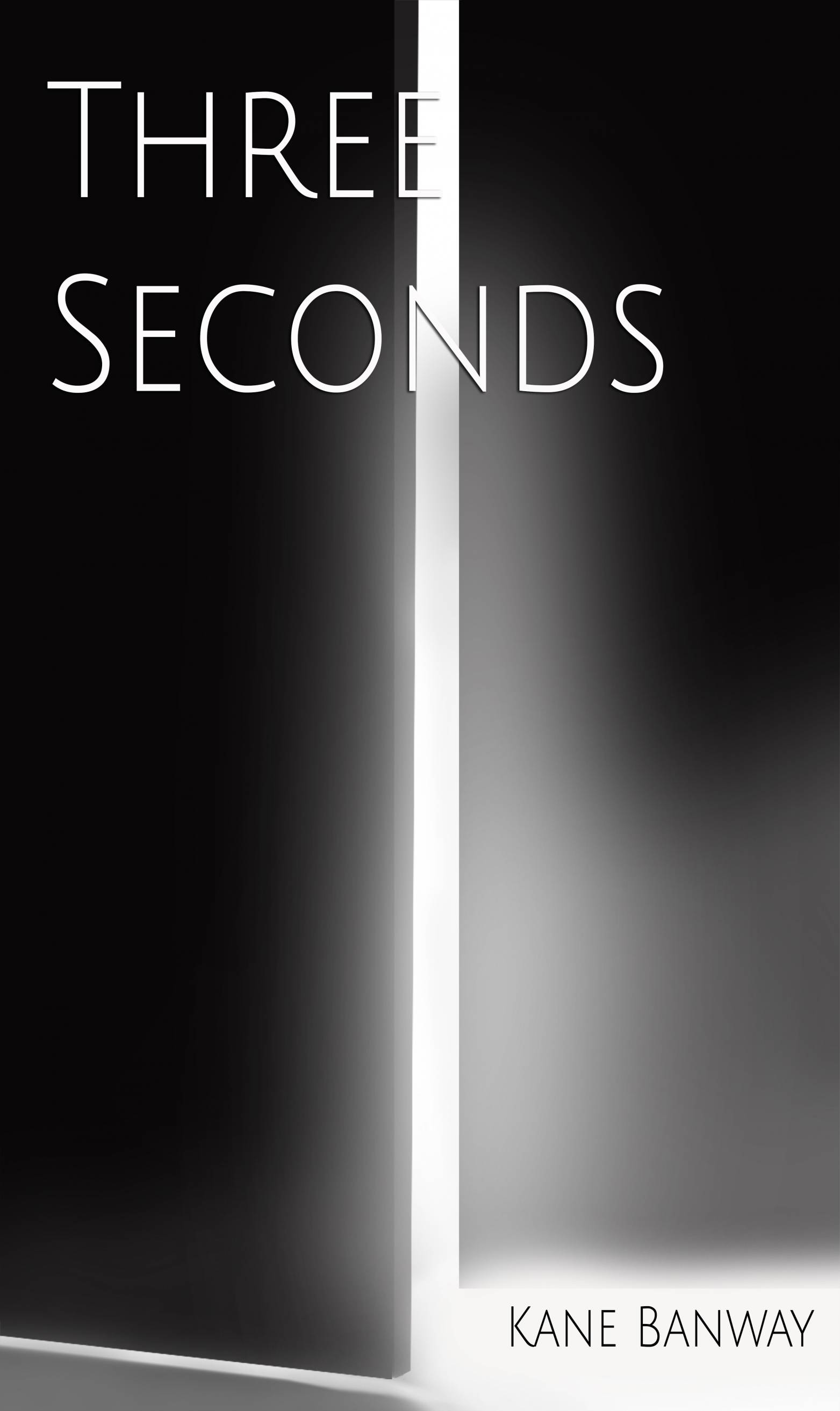 Cover image for Three seconds