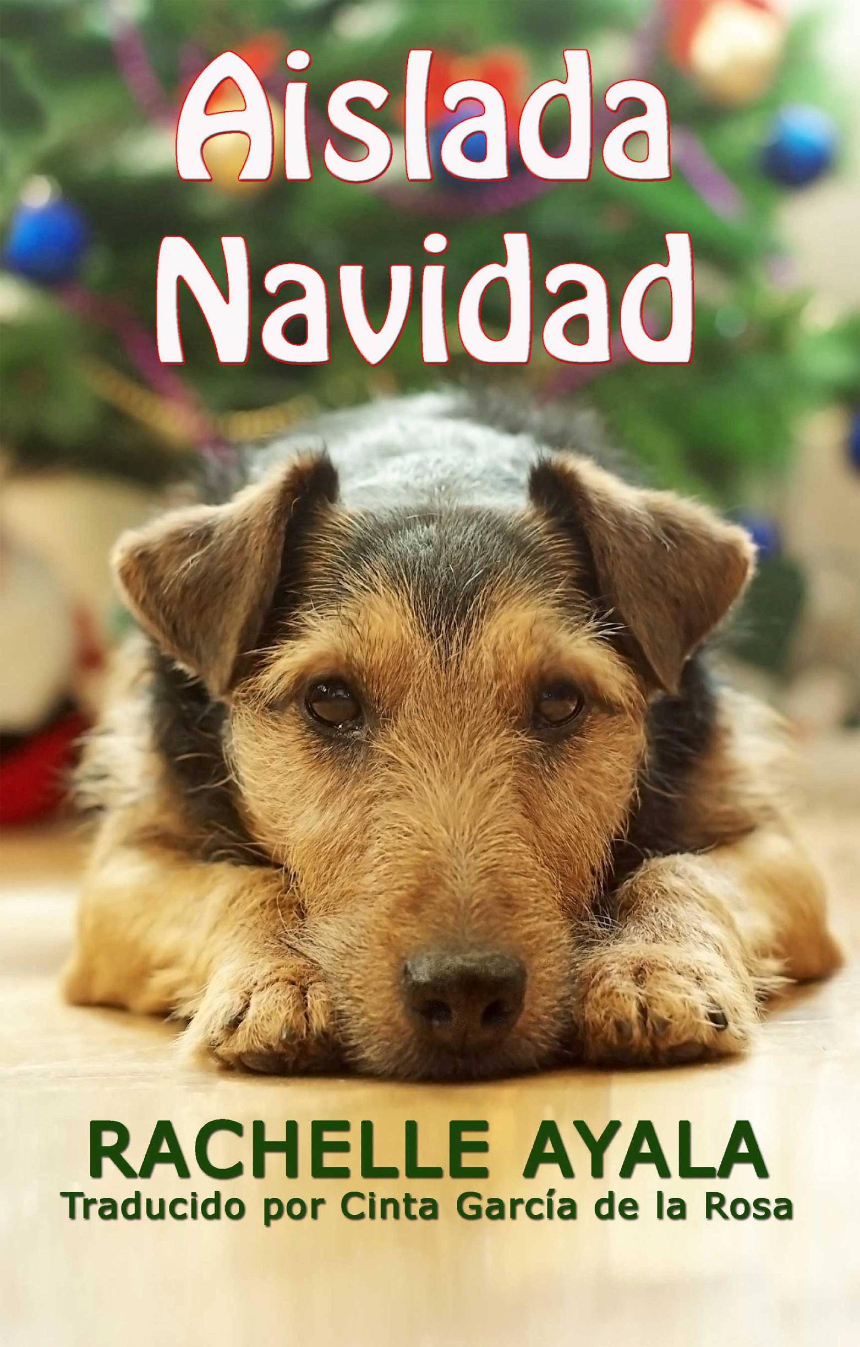 Cover image for Aislada Navidad