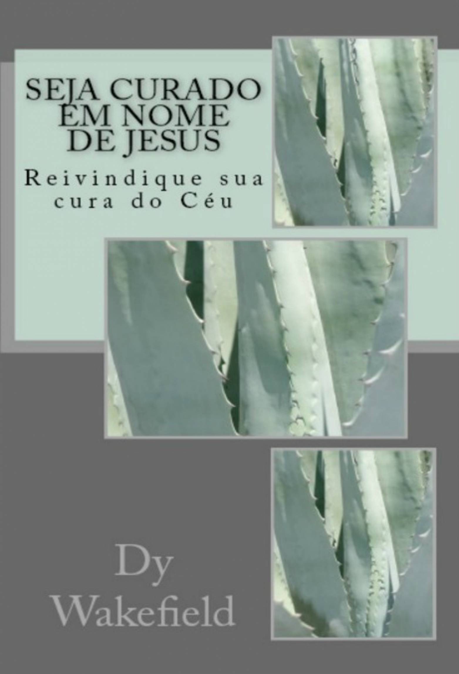 Cover image for Seja Curado em Nome de Jesus