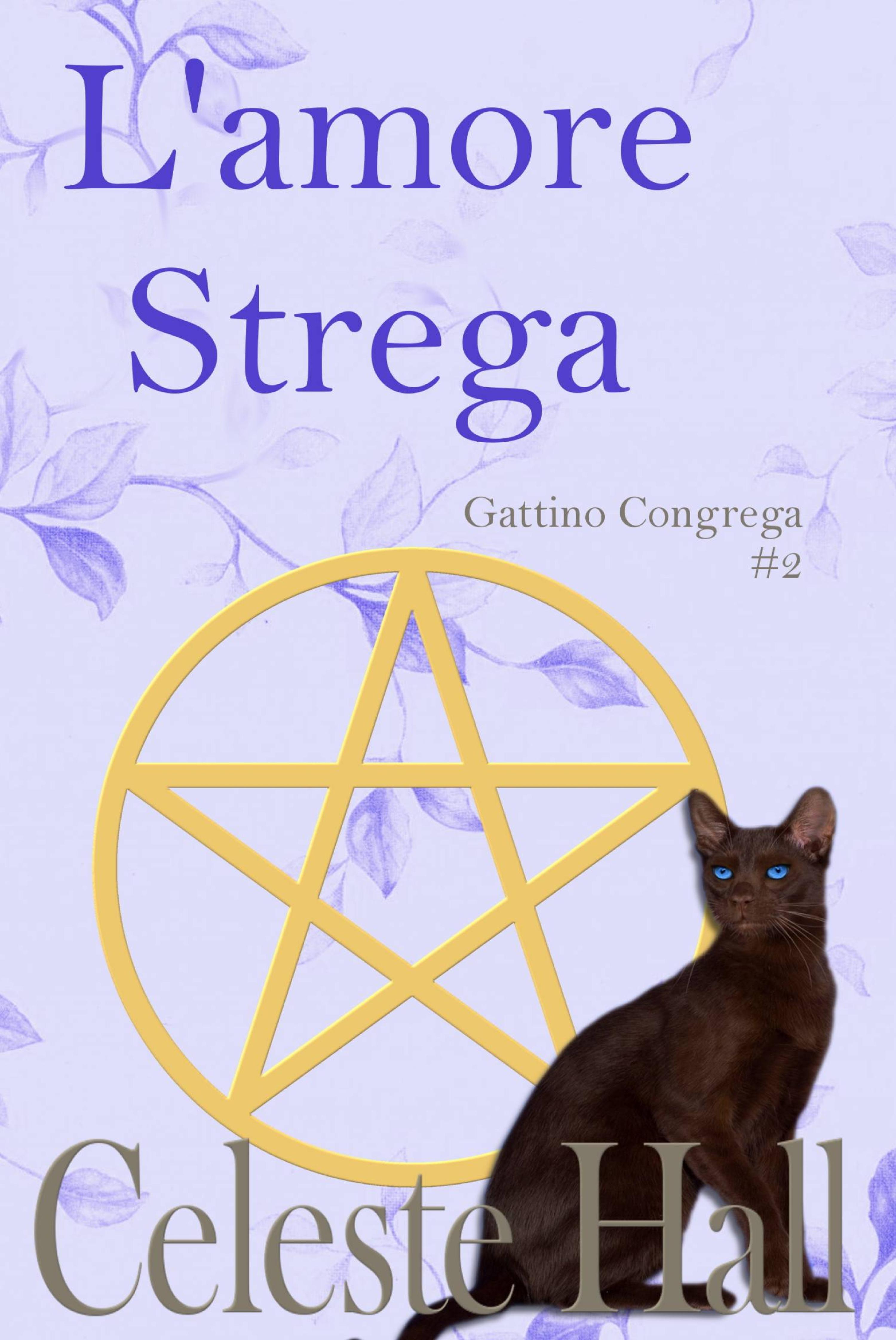 Cover image for L'amore Strega