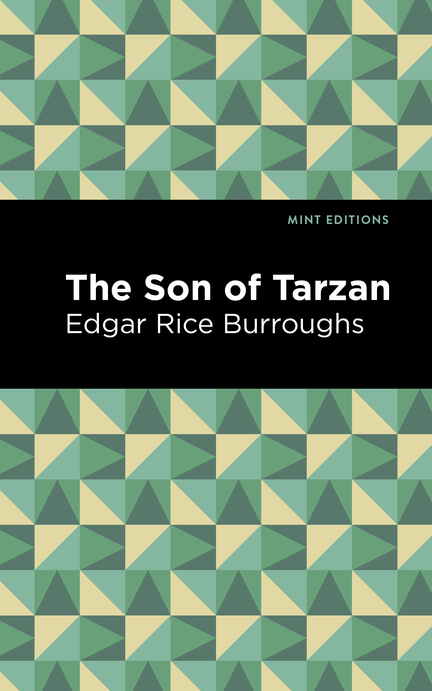 Cover image for The Son of Tarzan
