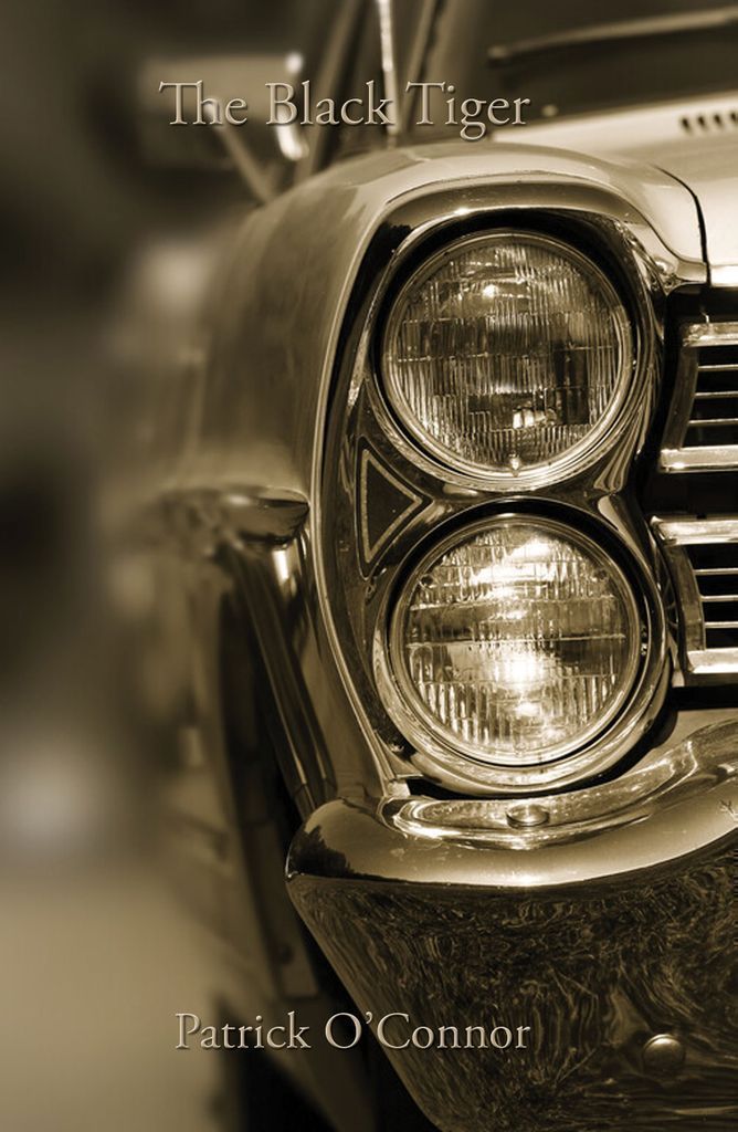 Cover image for The Black Tiger