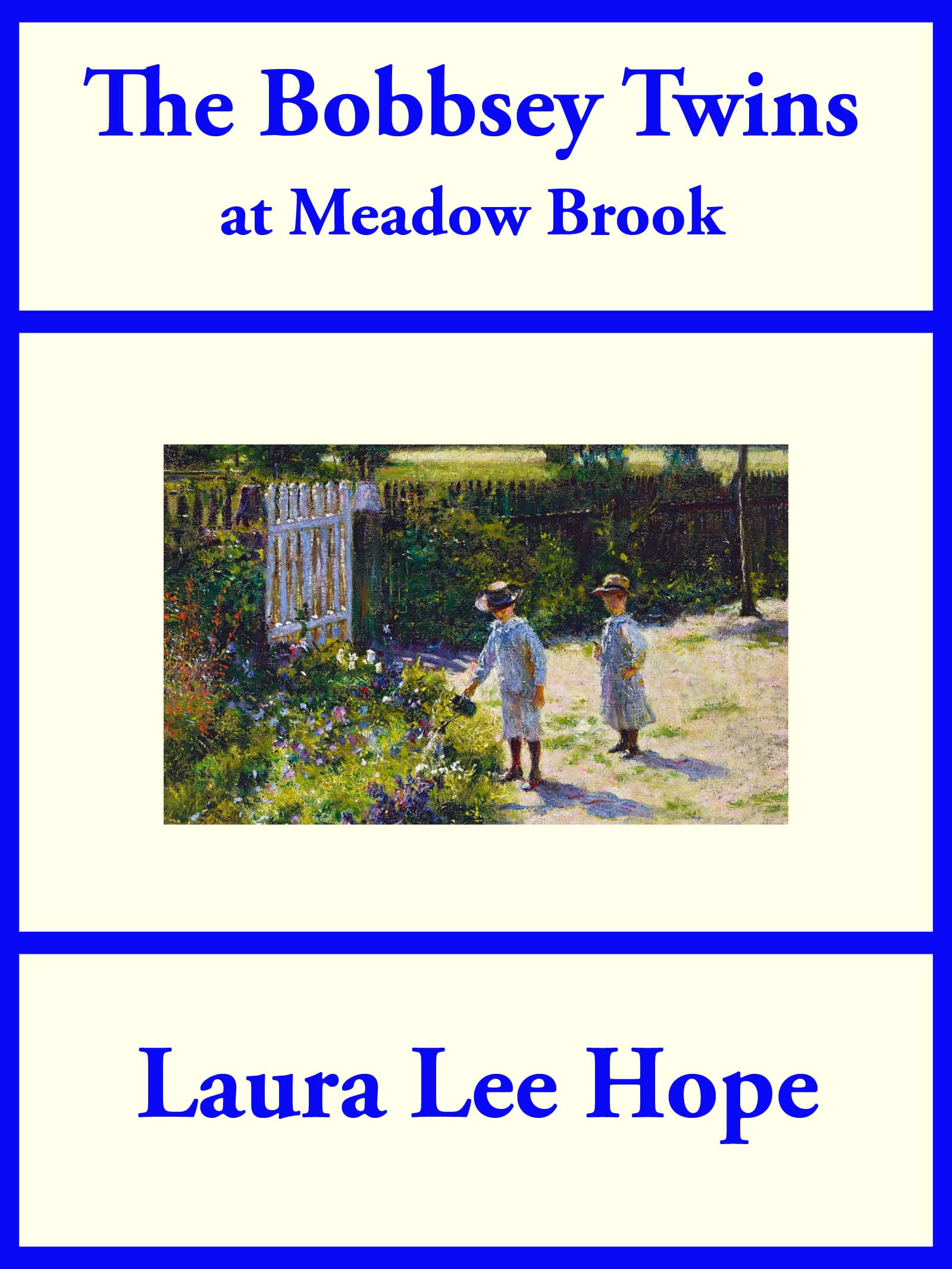 Cover image for The Bobbsey Twins at Meadow Brook
