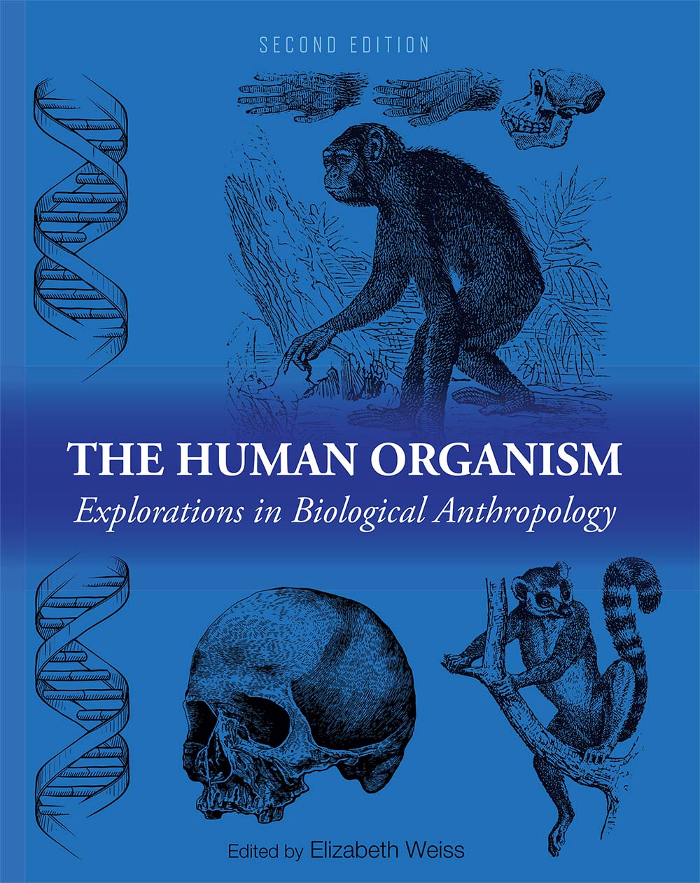 Cover image for The Human Organism