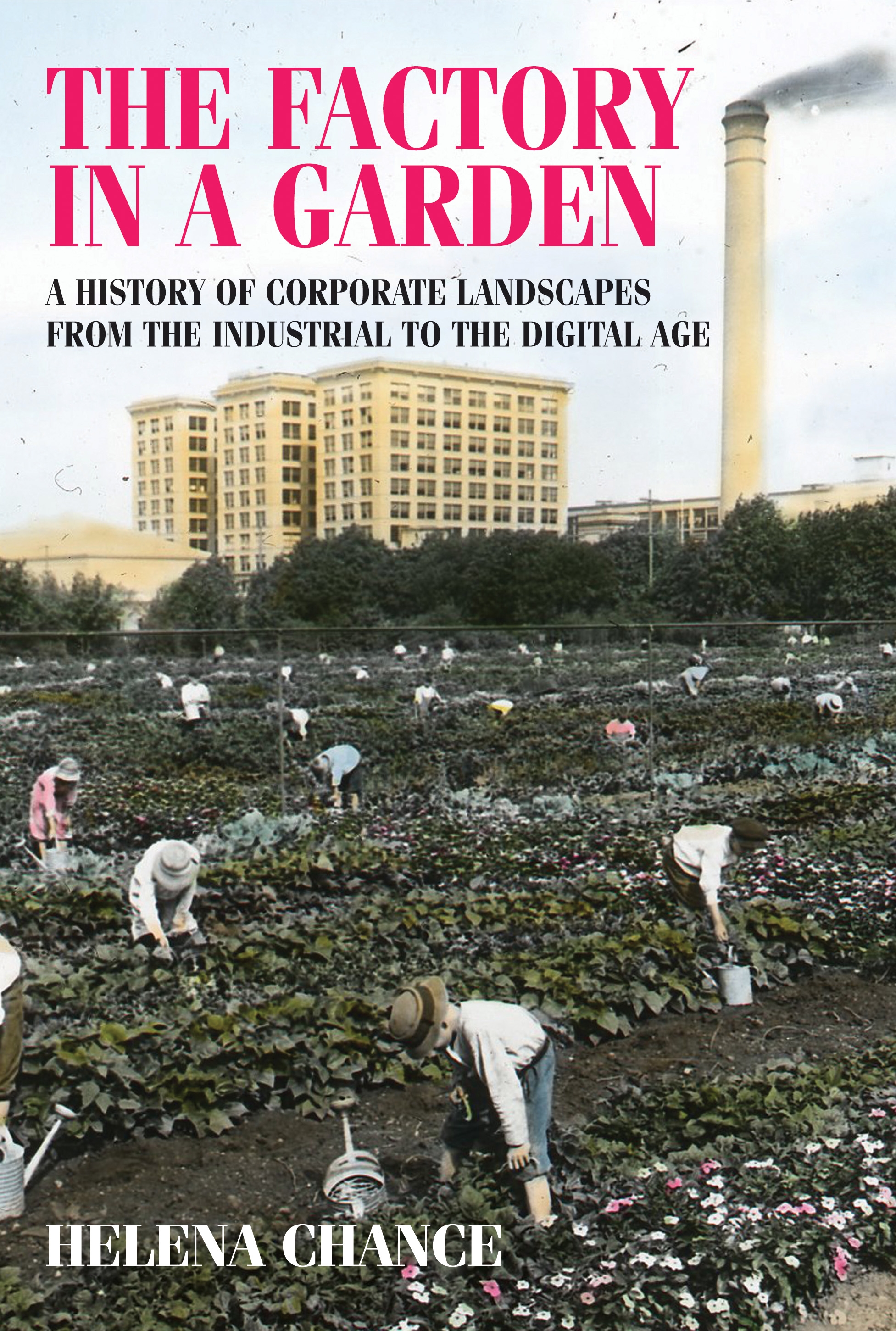Cover image for The factory in a garden