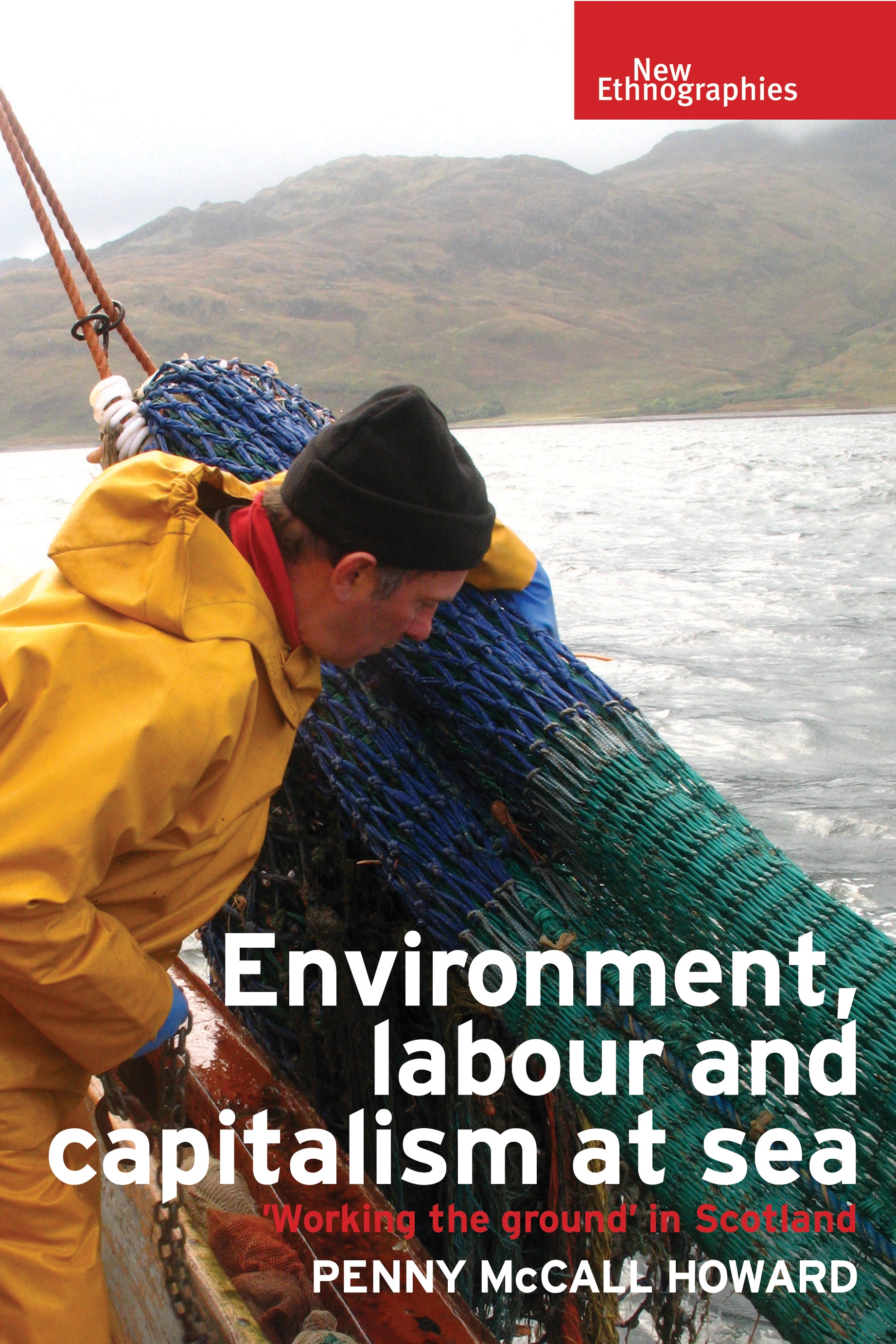 Cover image for Environment, labour and capitalism at sea