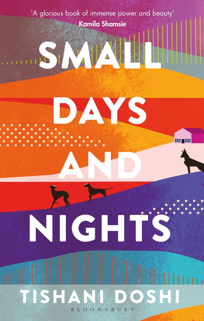 Cover image for Small Days and Nights