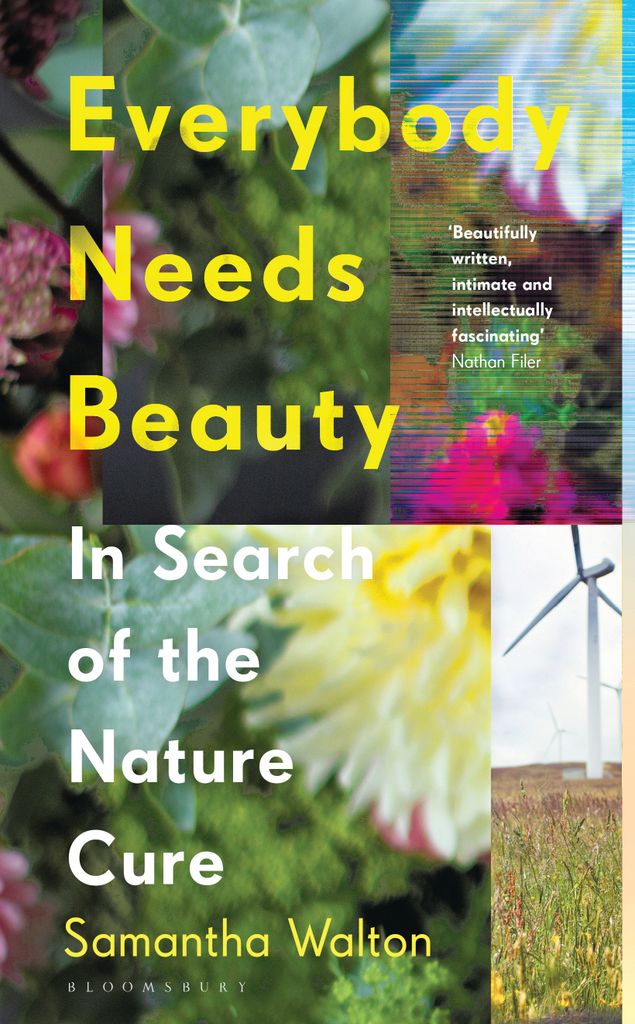 Cover image for Everybody Needs Beauty