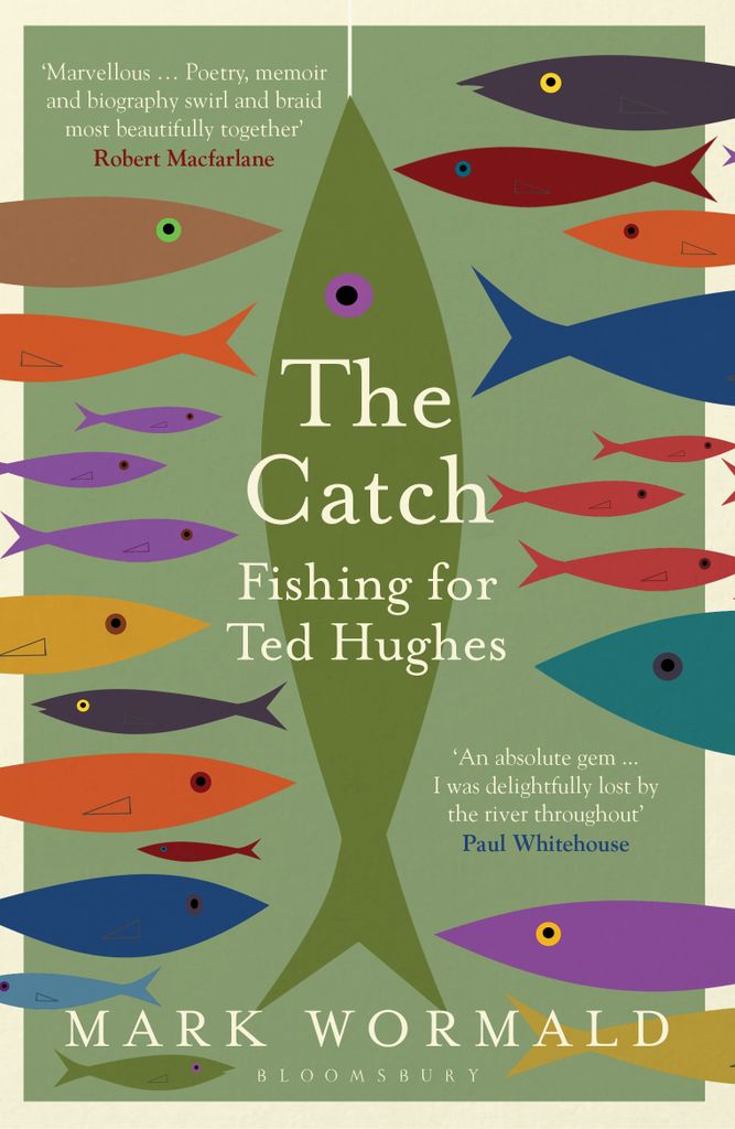 Cover image for The Catch