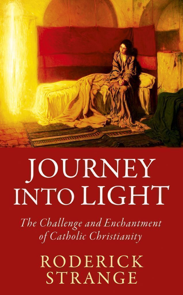Cover image for Journey into Light