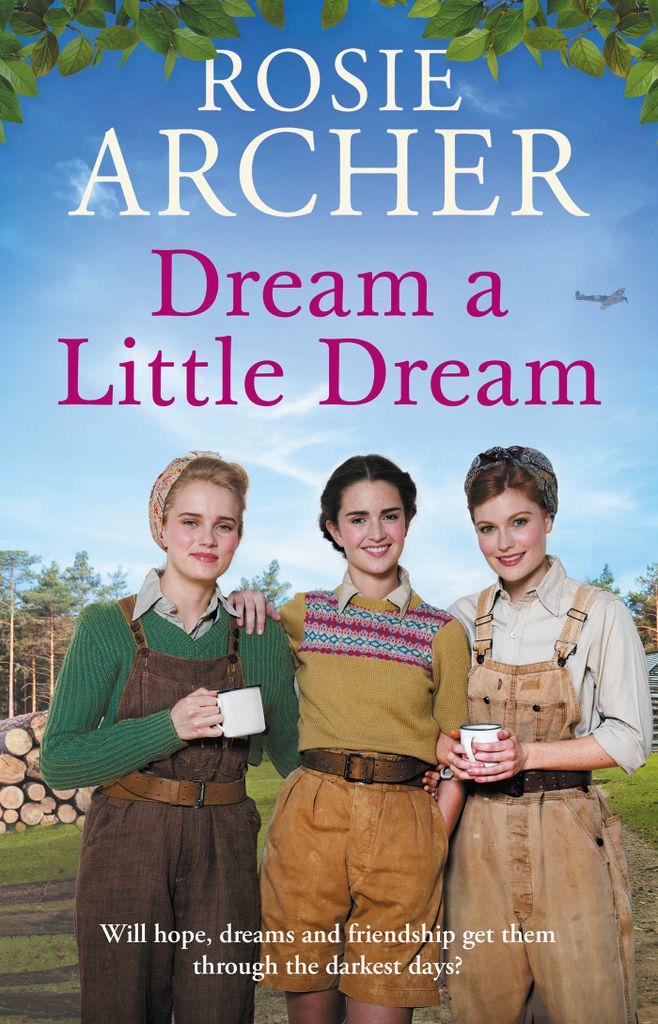 Cover image for Dream a Little Dream