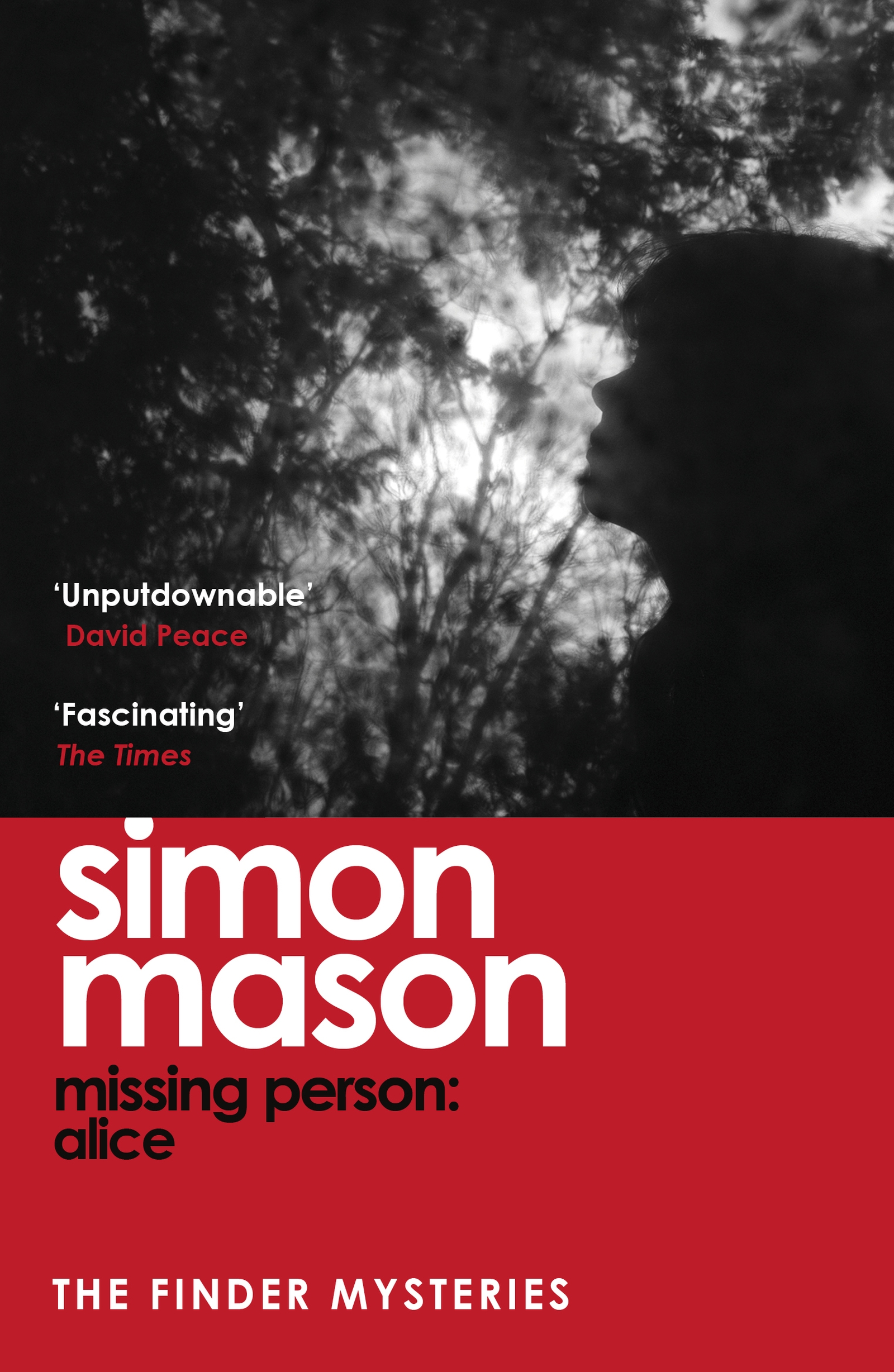 Cover image for Missing Person: Alice (The Finder Mysteries)