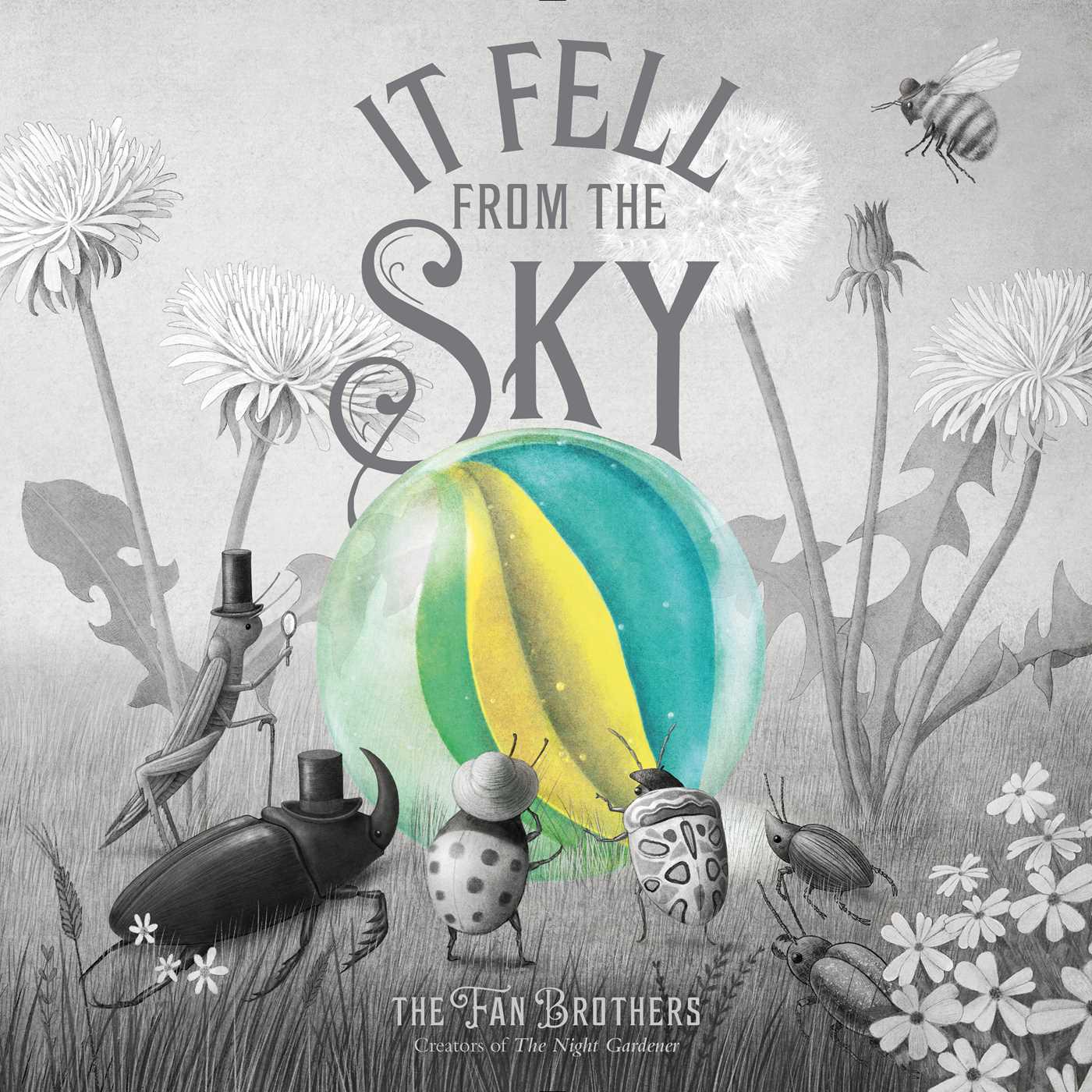Cover image for It Fell from the Sky