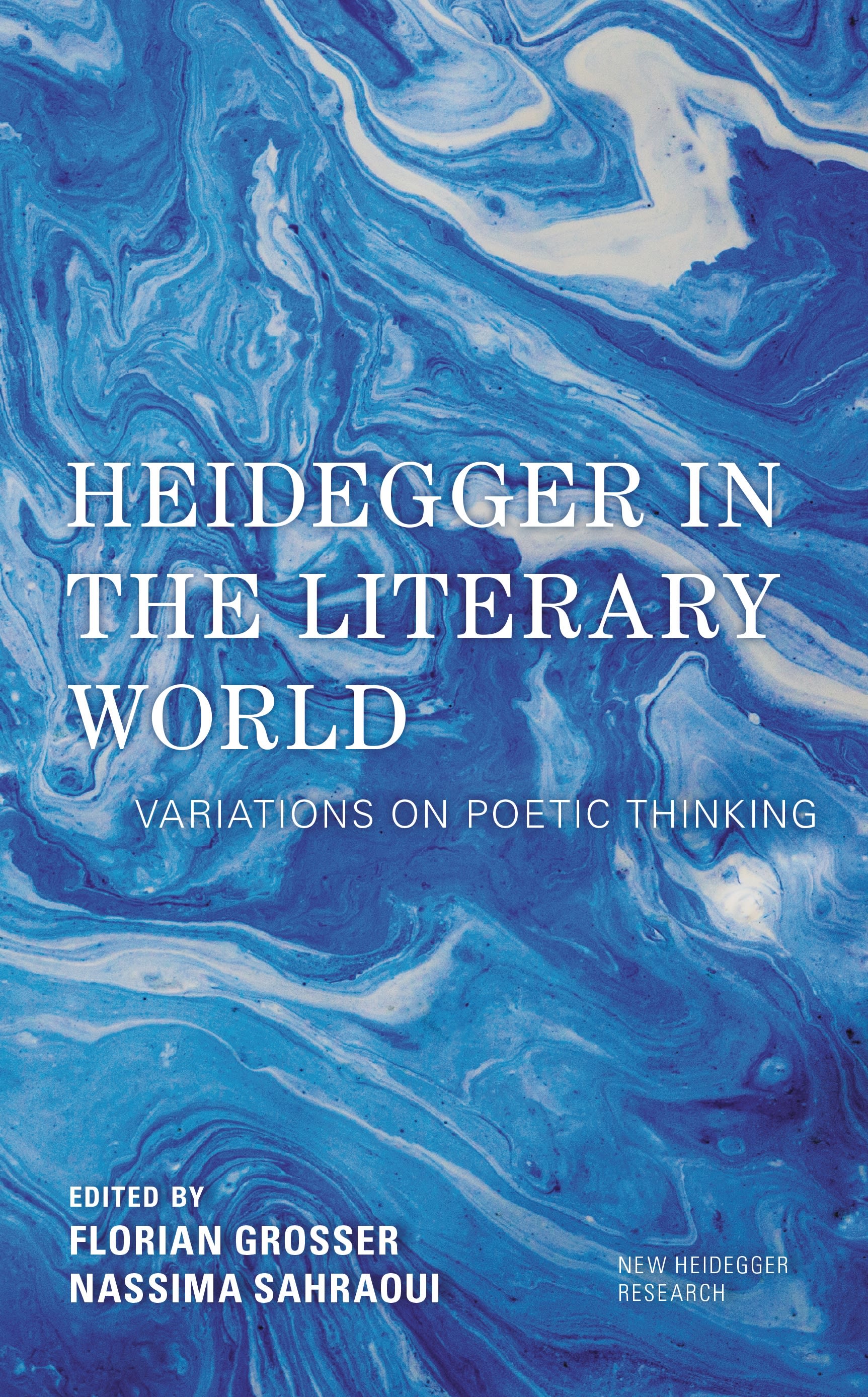 Cover image for Heidegger in the Literary World