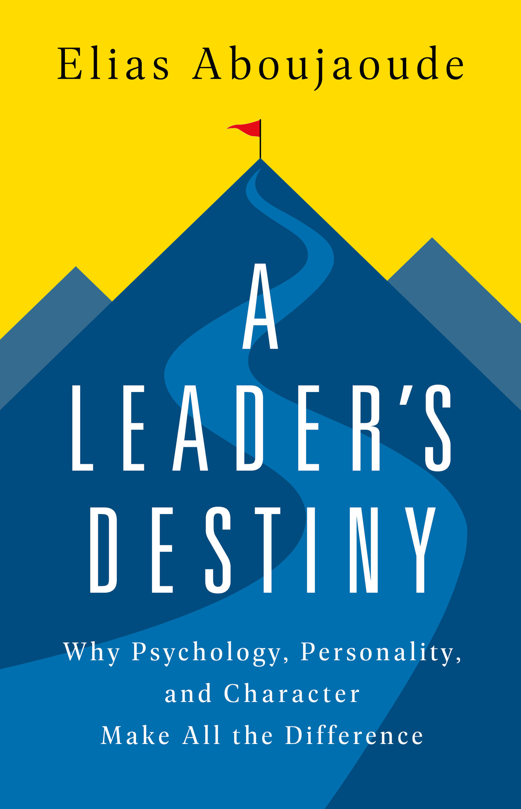 Cover image for A Leader's Destiny