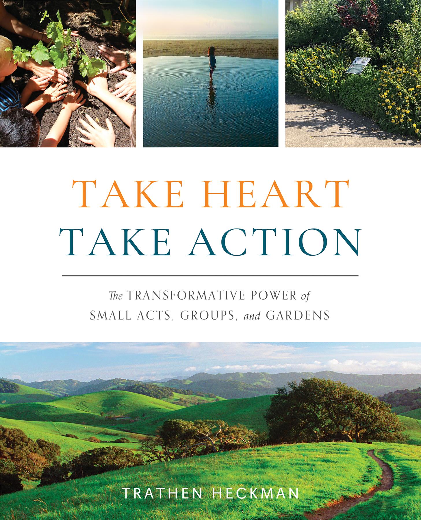 Cover image for Take Heart, Take Action