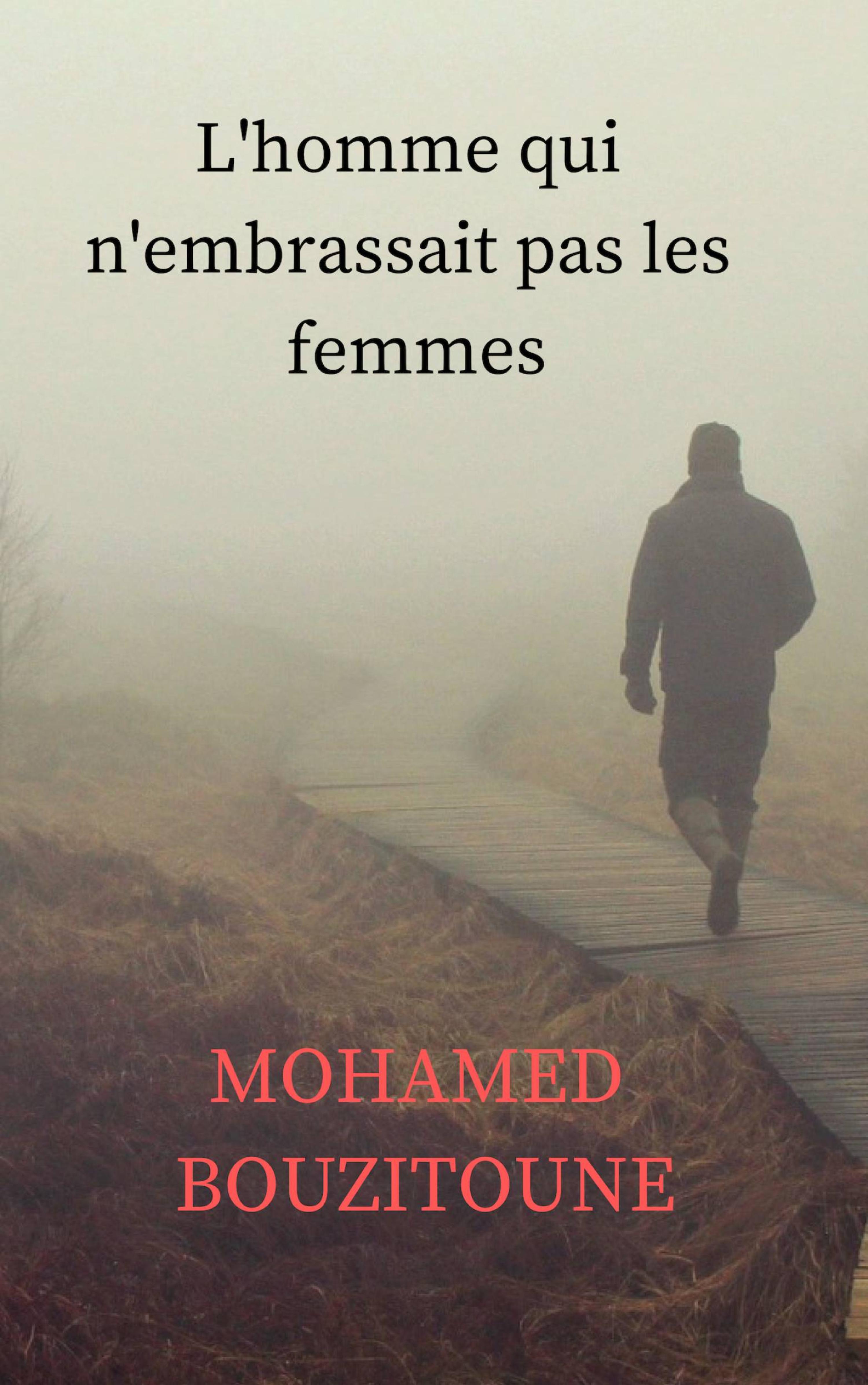 Cover image for L'homme qui n'embrassait pas les femmes