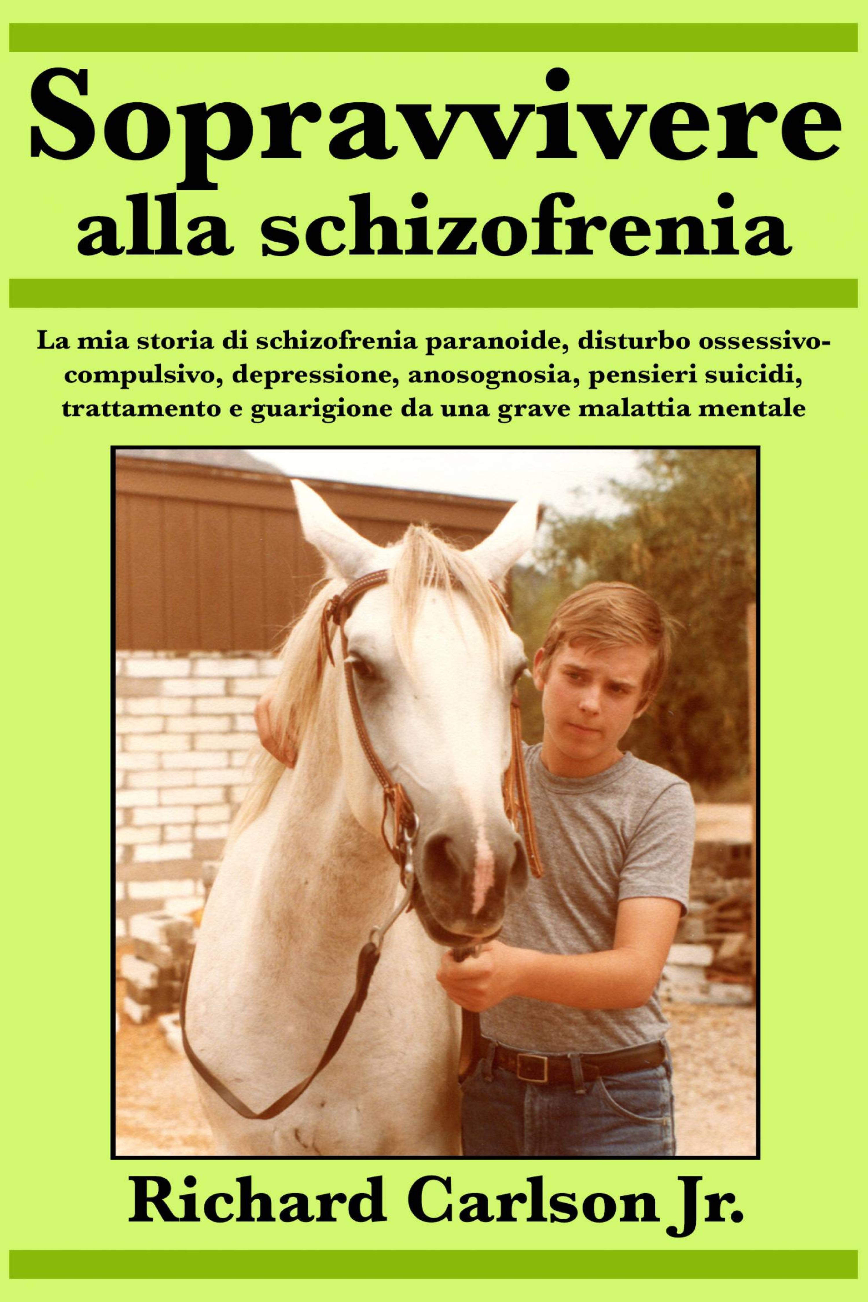 Cover image for Sopravvivere alla schizofrenia