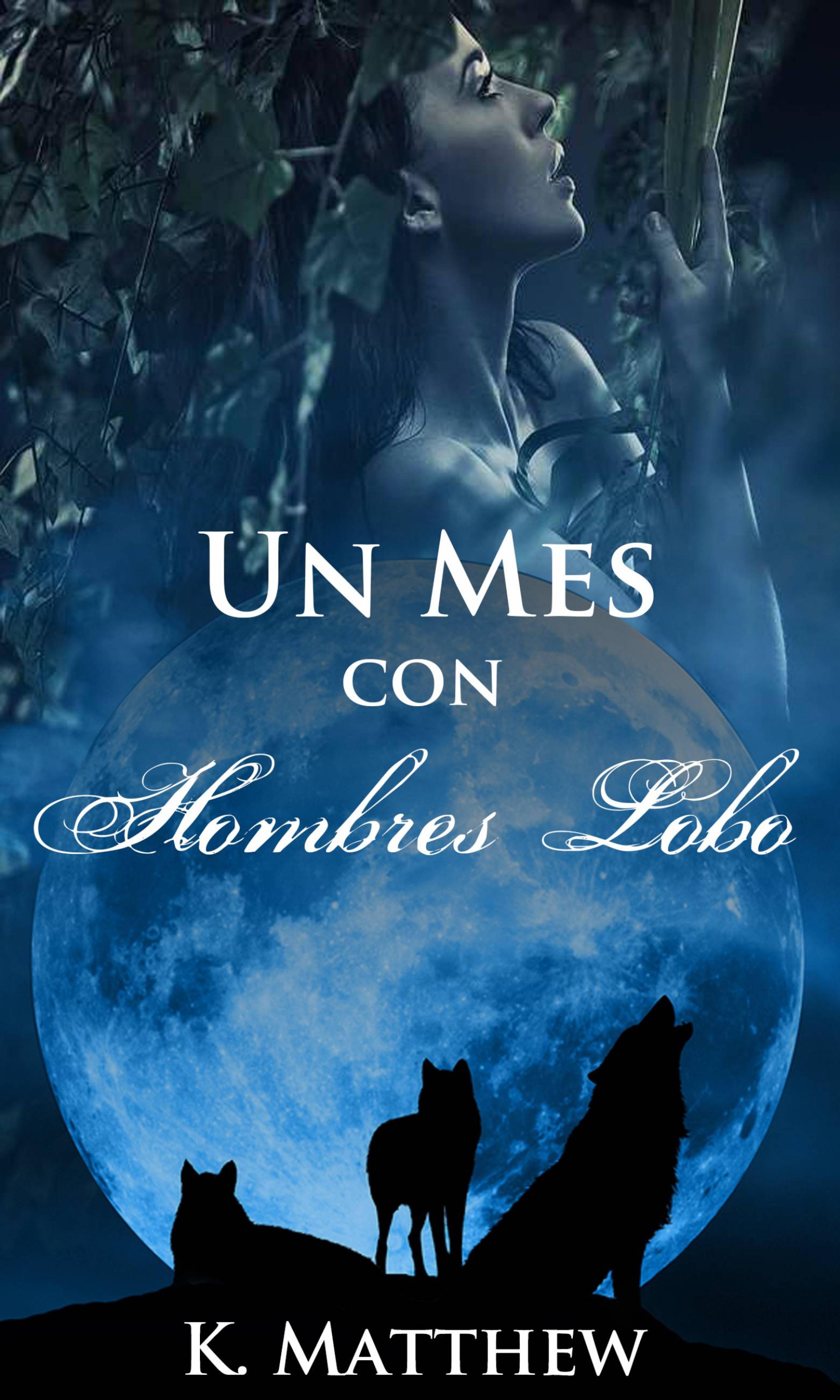 Cover image for Un mes con hombres lobo