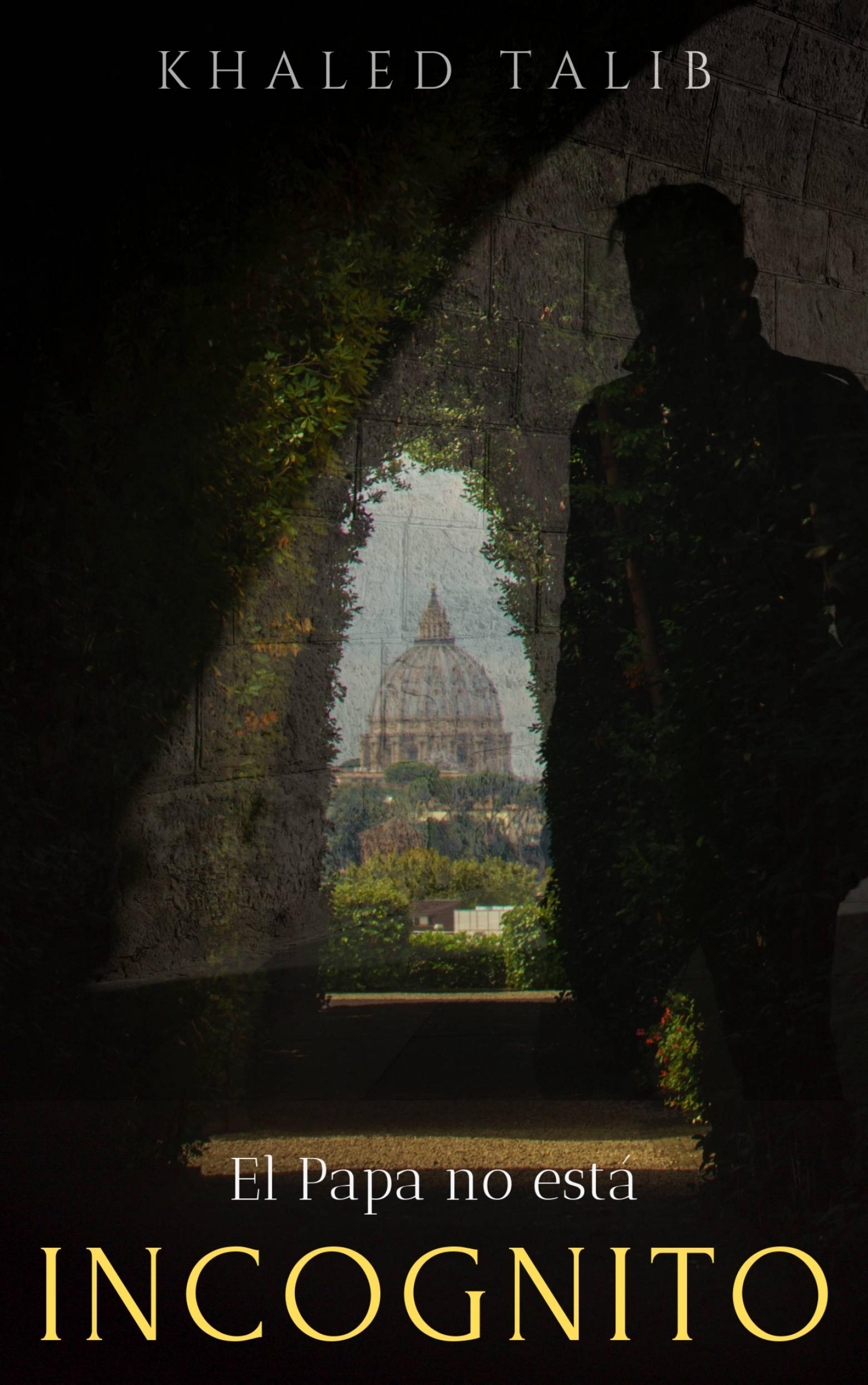 Cover image for Incognito