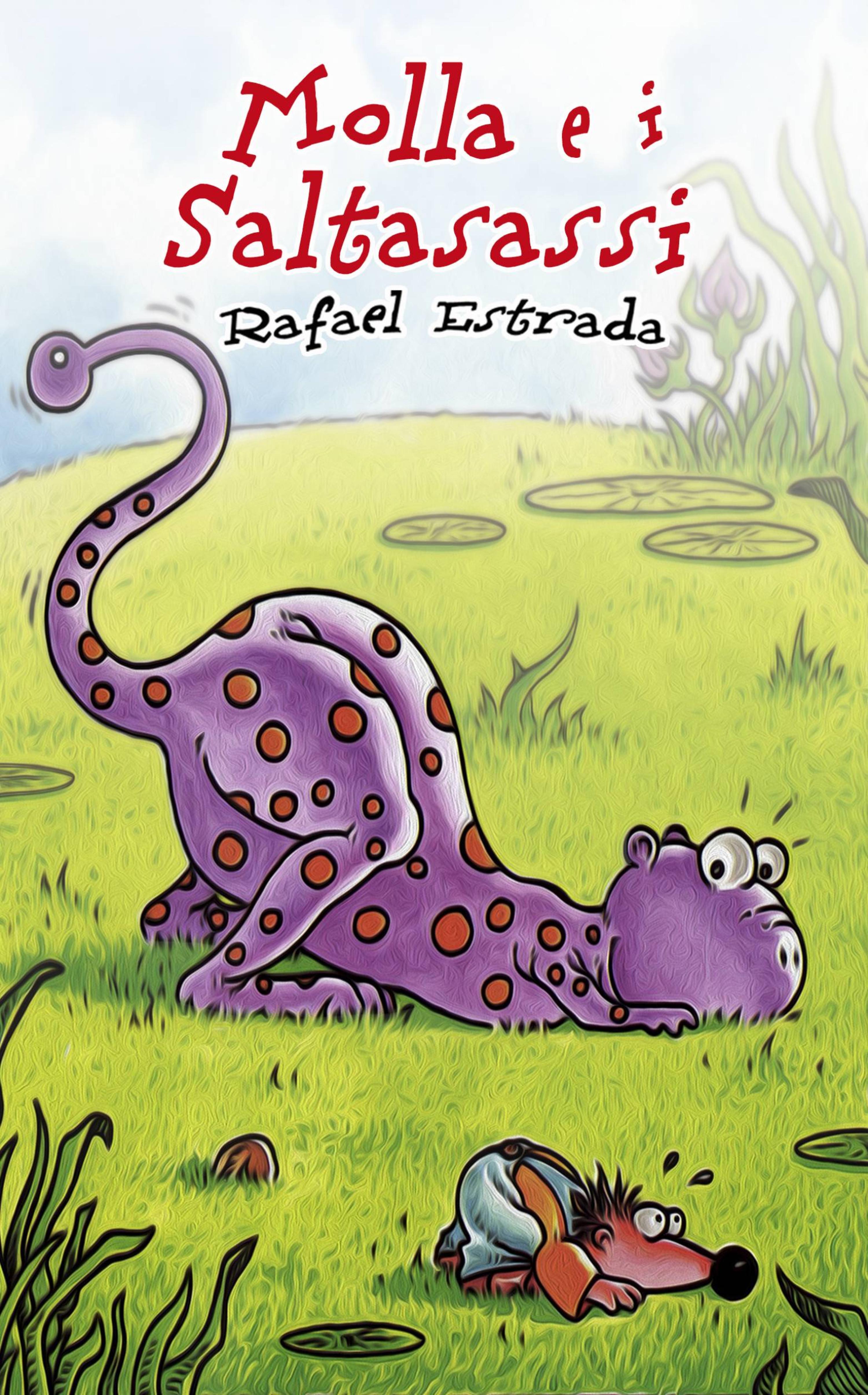 Cover image for Molla e i saltasassi