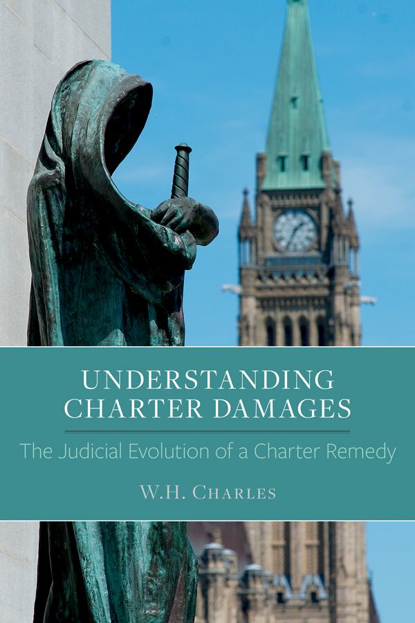 Cover image for Understanding Charter Damages