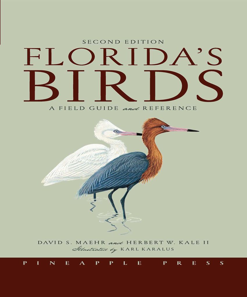 Cover image for Florida's Birds