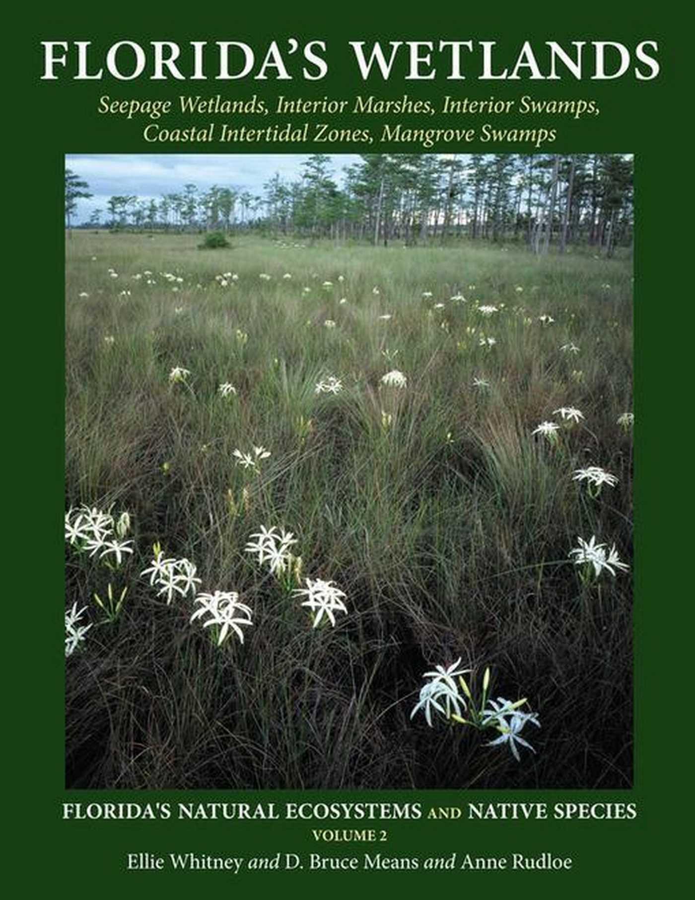 Cover image for Florida's Wetlands