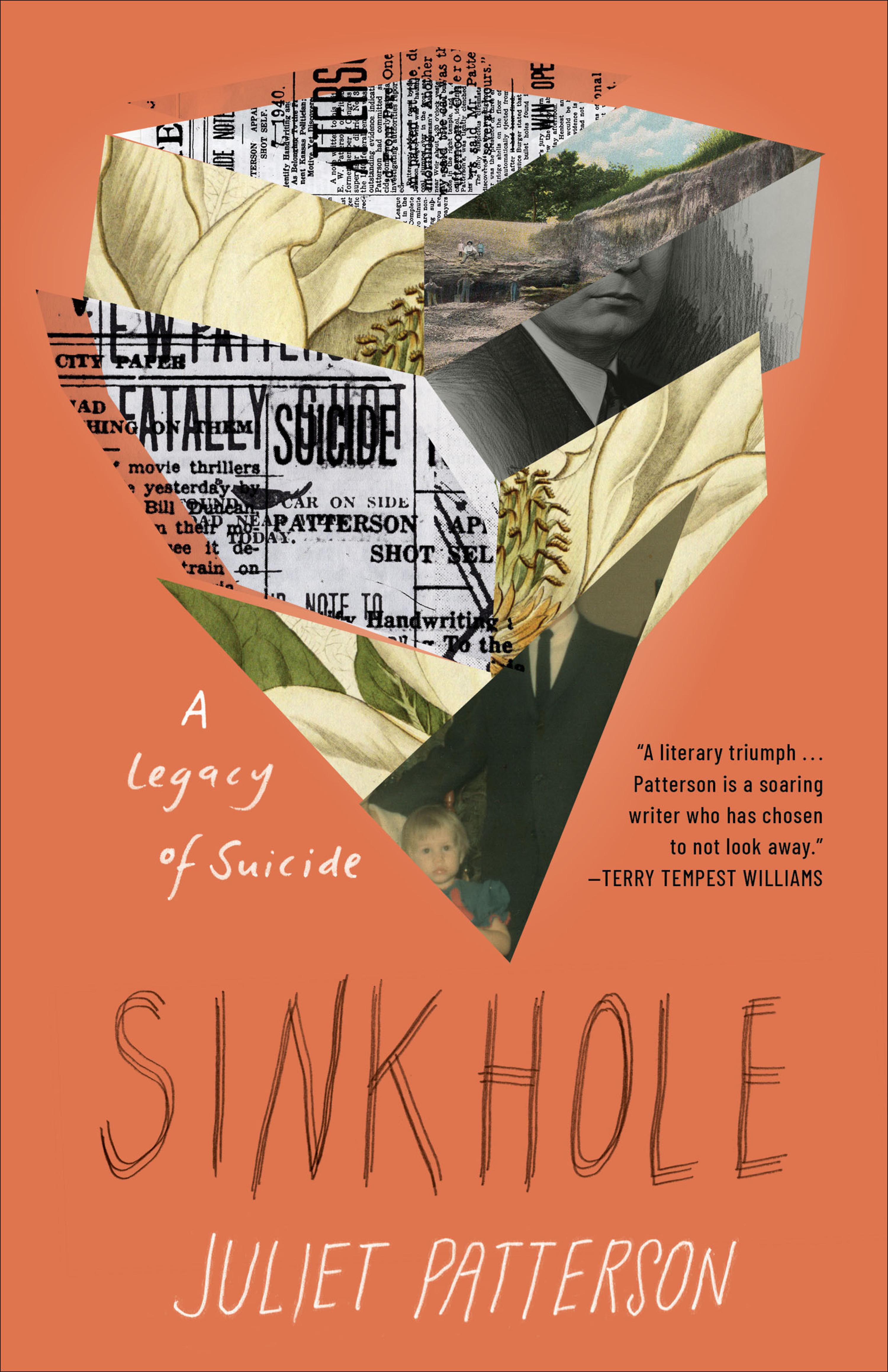 Cover image for Sinkhole