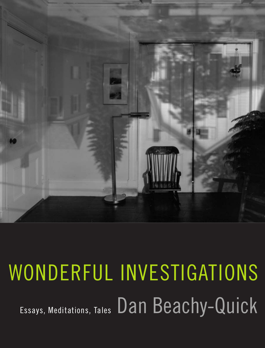 Cover image for Wonderful Investigations