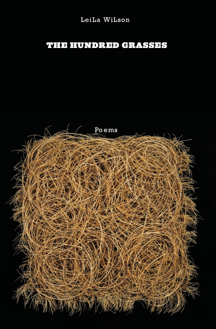Cover image for The Hundred Grasses