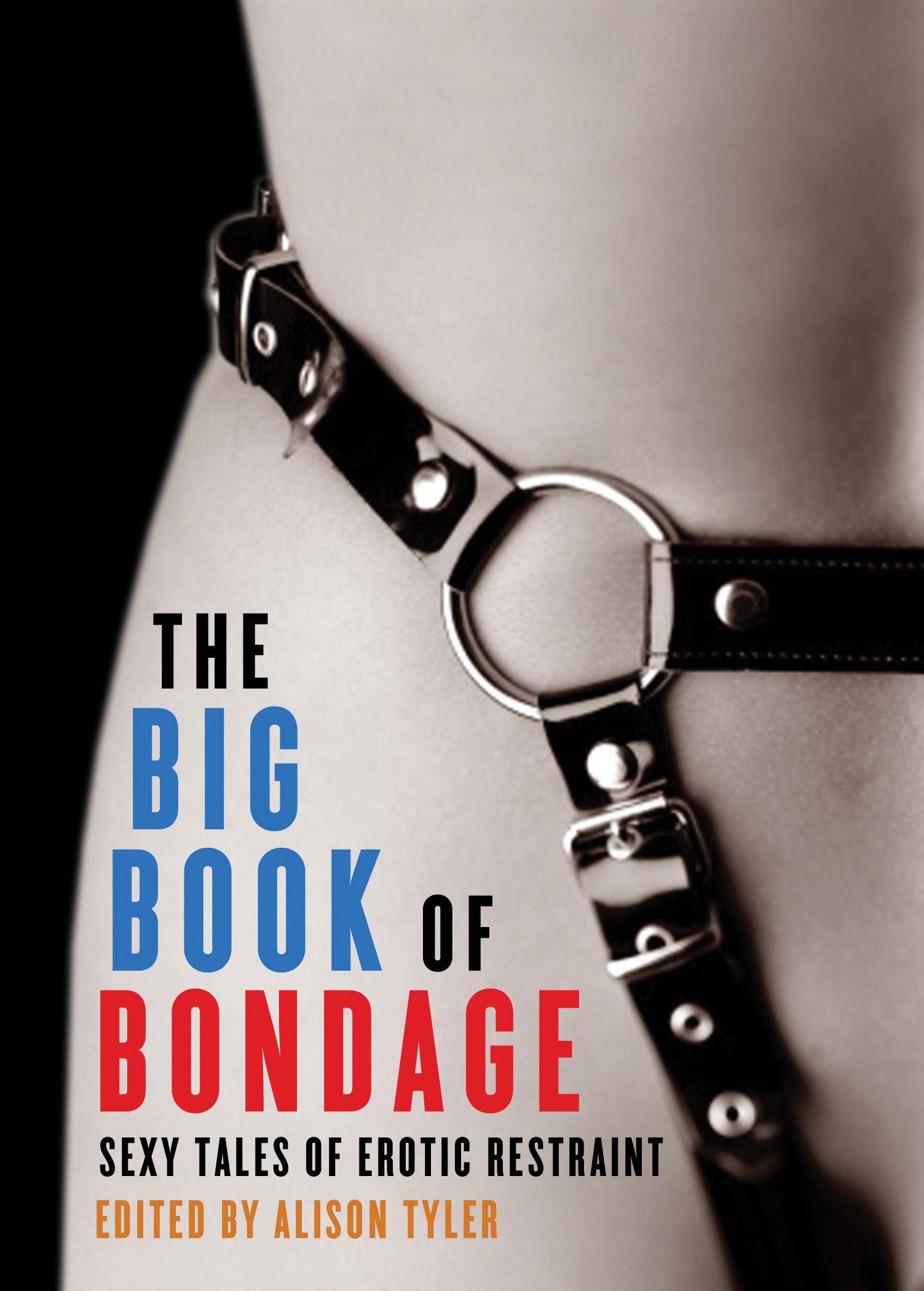 Cover image for The Big Book of Bondage